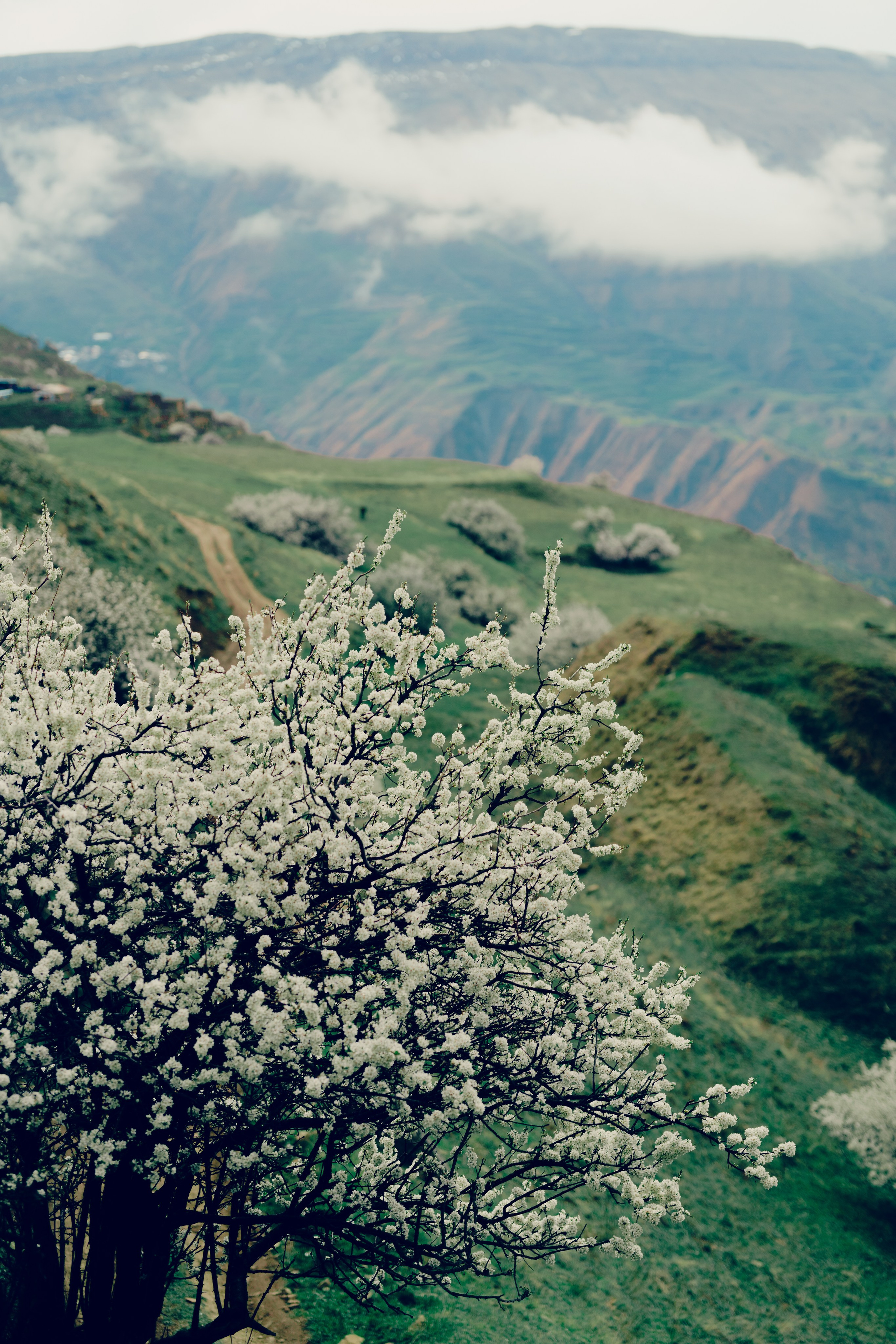 Botanical. Портретный и свадебный фотограф в Москве и Санкт-Петербурге. Учитель фотографии онлайн и оффлайн