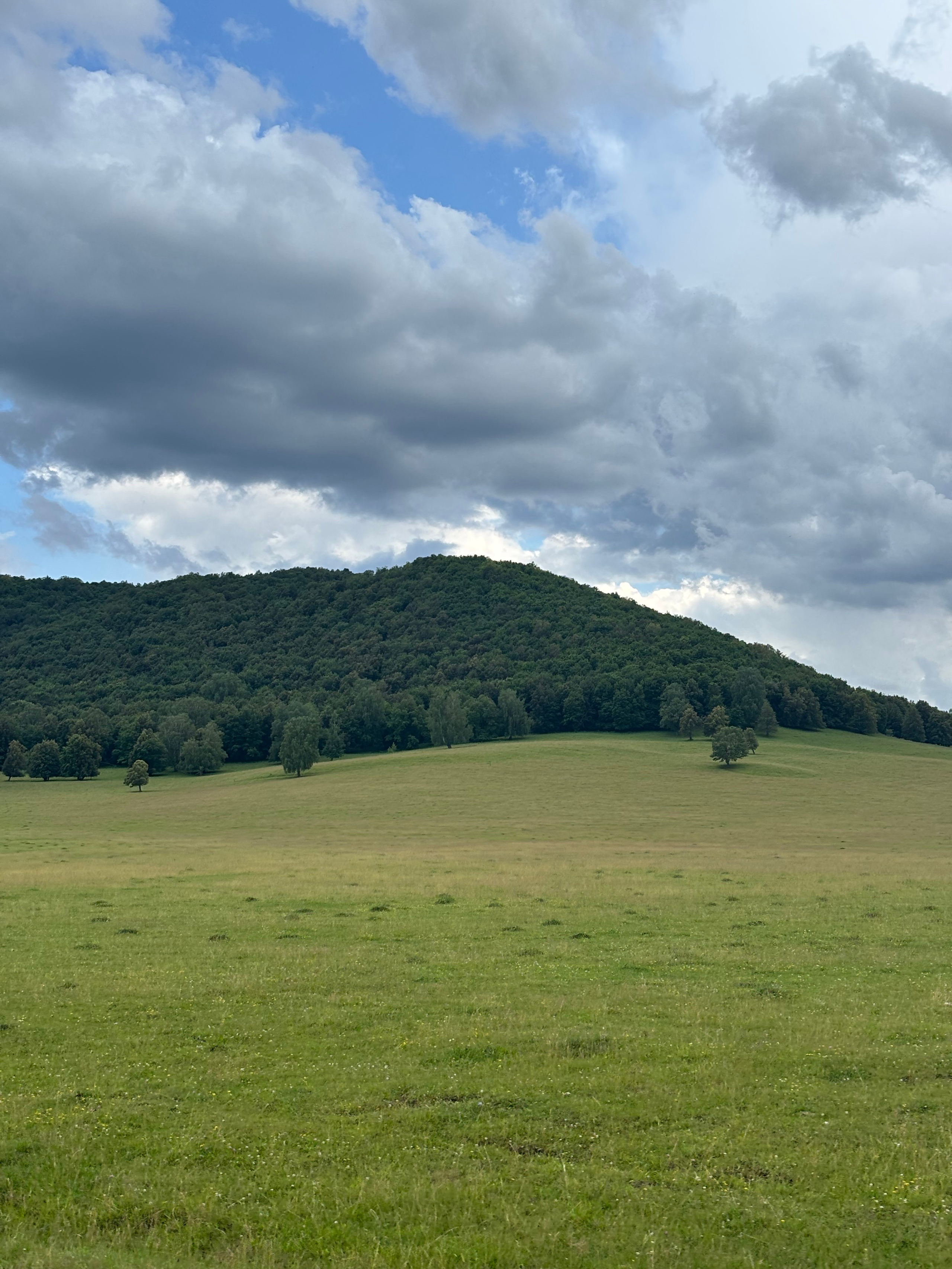 Фото с конных туров — Время приключений