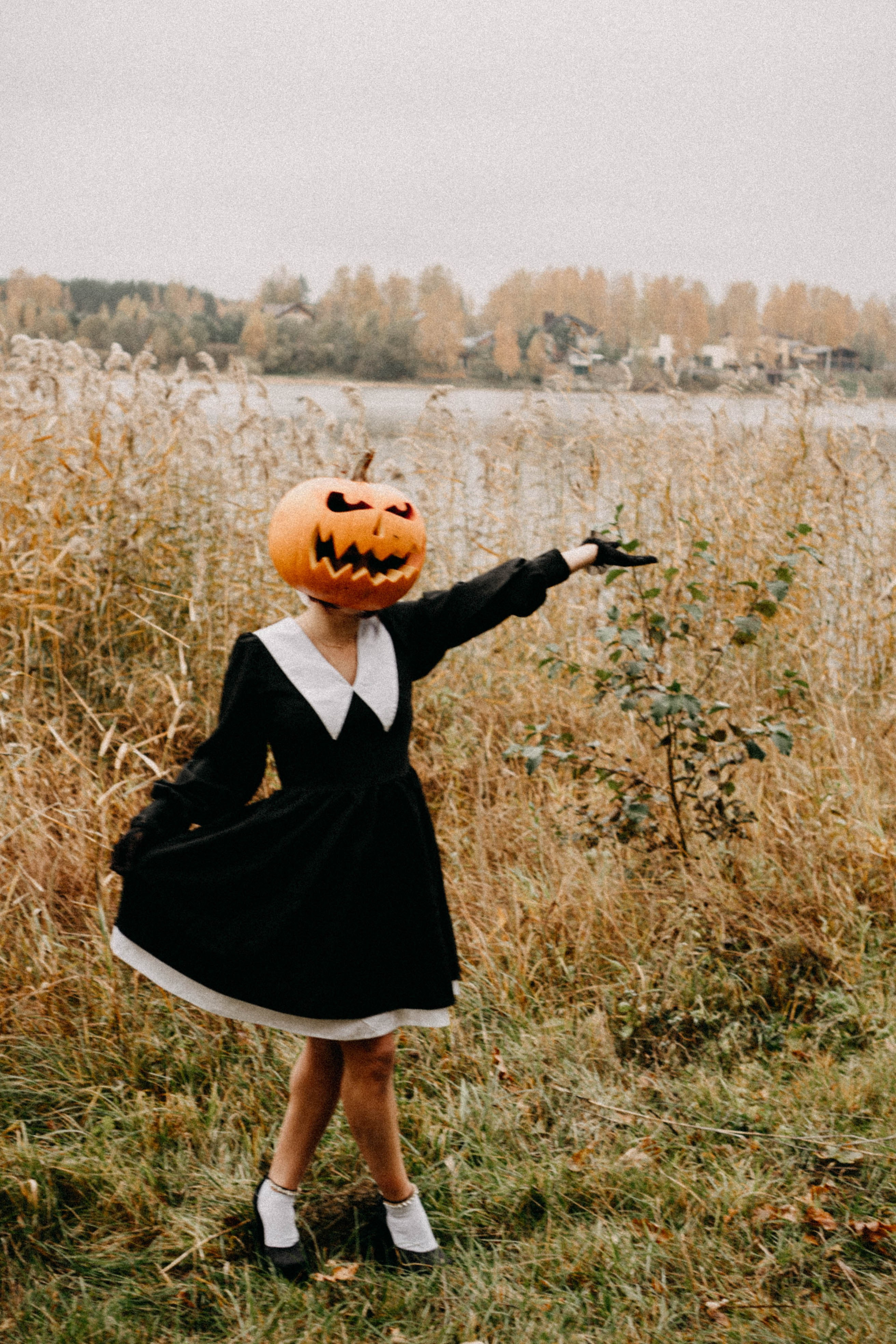 Осеняя. Профессиональный фотограф, Санкт-Петербург — Виктория Богомолова