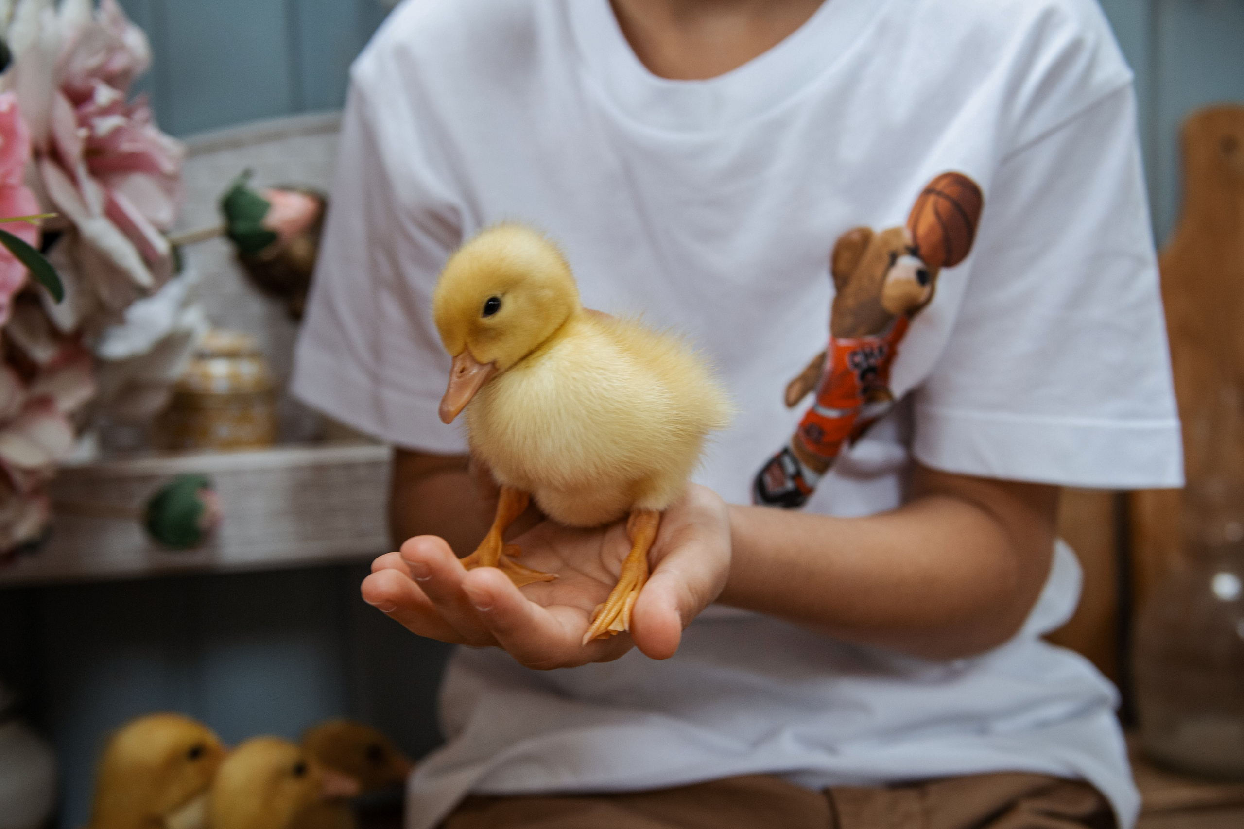 Пасхальный фотодень. Мария Авджян Фотограф и видеограф Краснодар