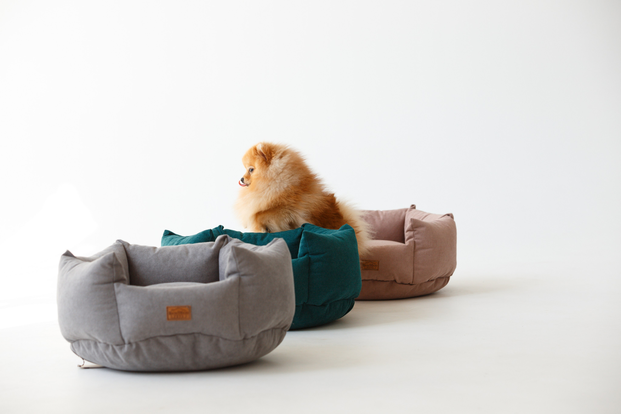 Boonwood Pets лежанки для животных. Фотограф анималист Кристина Карпова, Москва