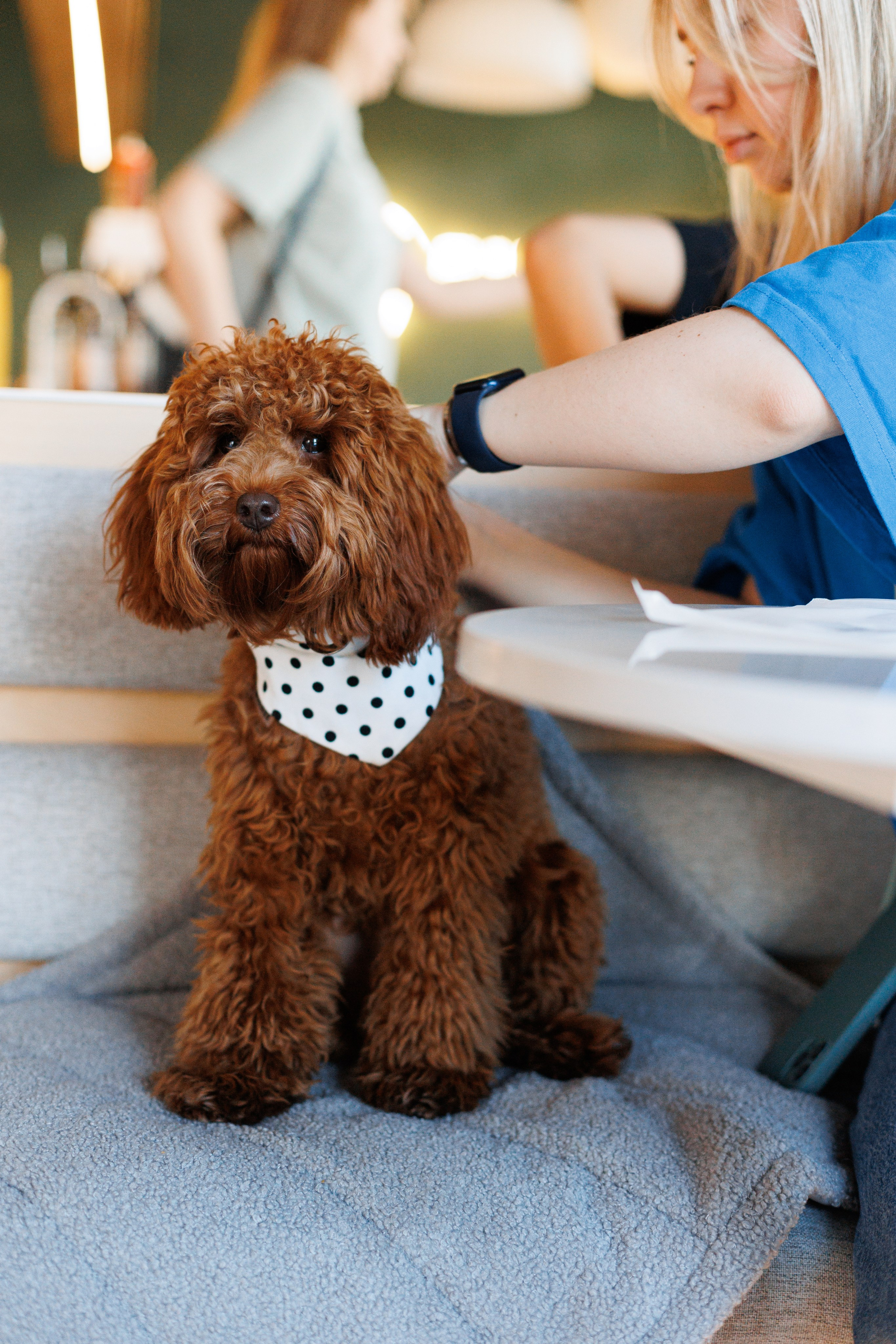 Bmbh городская. Фотограф анималист Кристина Карпова, Москва