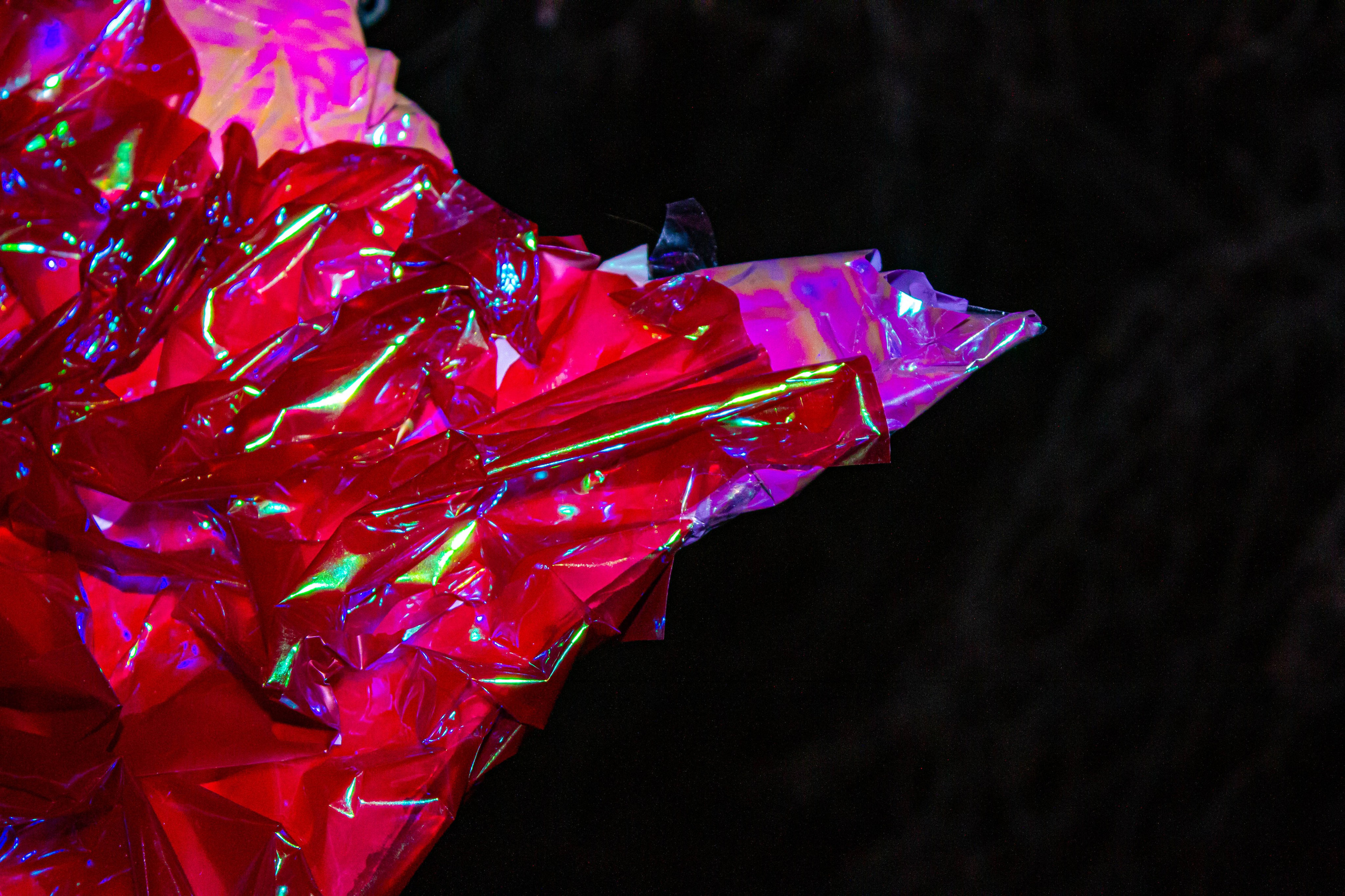 НЕ ТЕМНО_ЛИЦЕЙ им. С. П. ДЯГИЛЕВА 2025