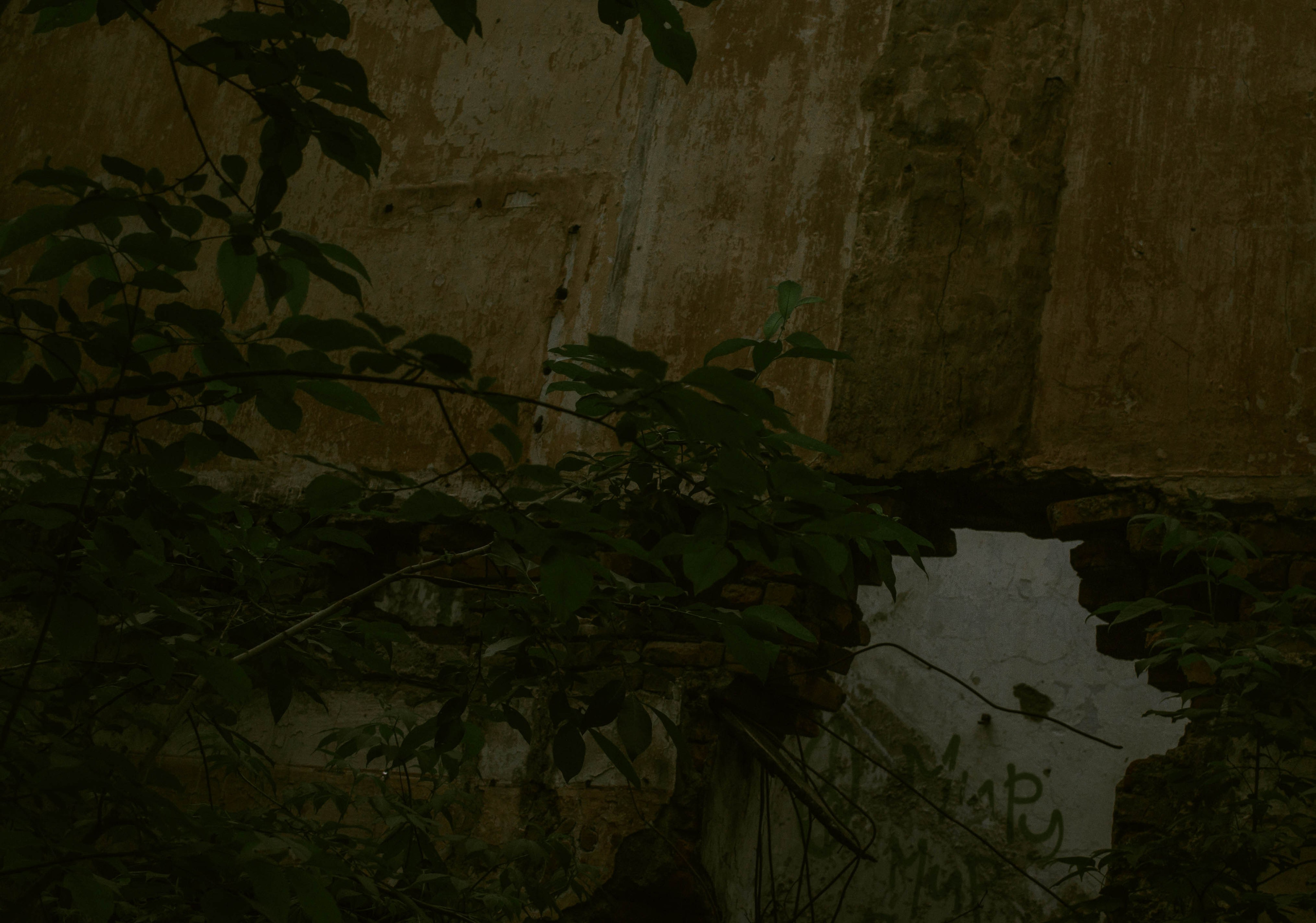 «Без названия»