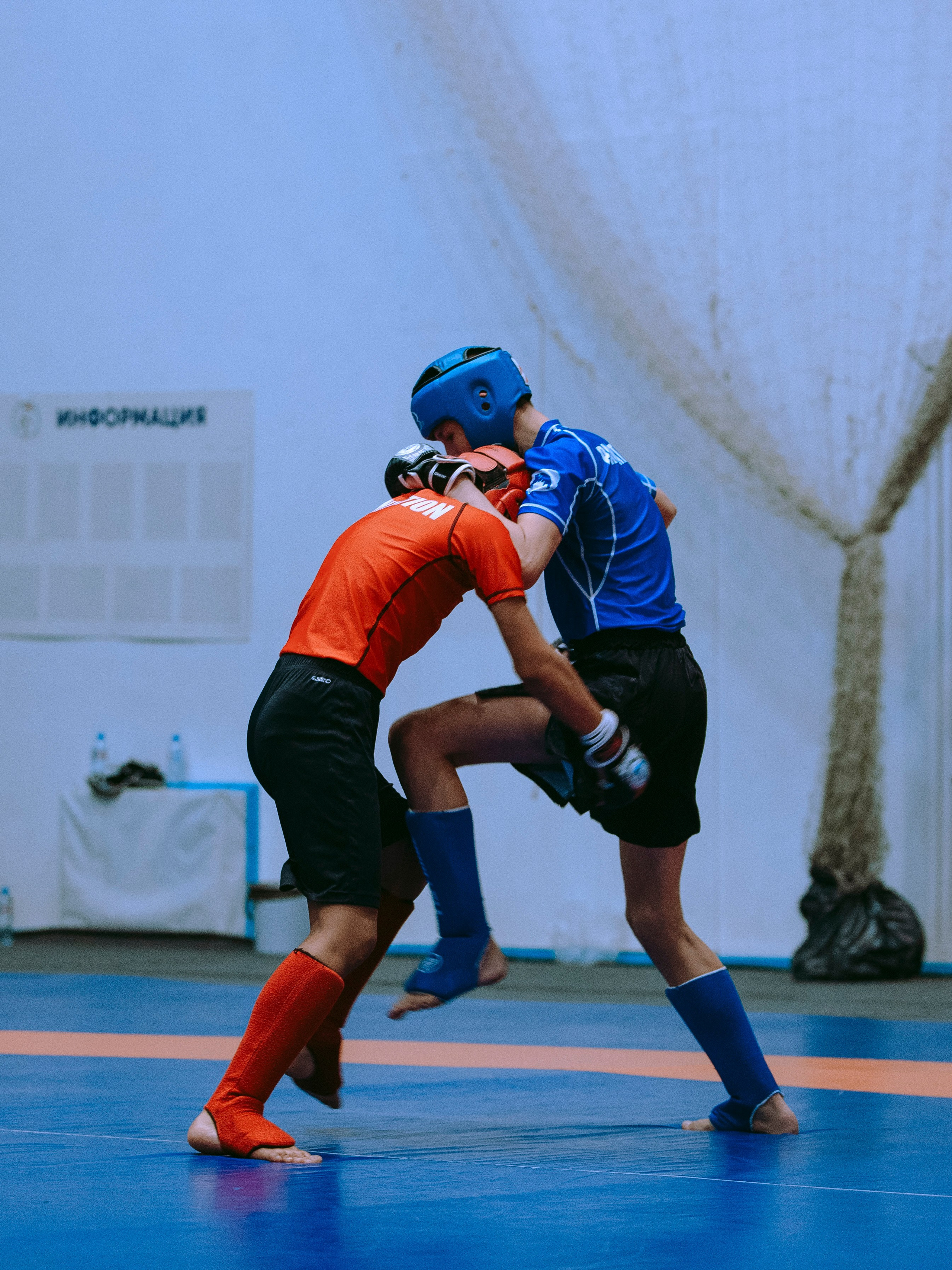 ПАНКРАТИОН | Чемпионат и первенство СФО | март `24. Портретный фотограф в Москве Дарья Цезария