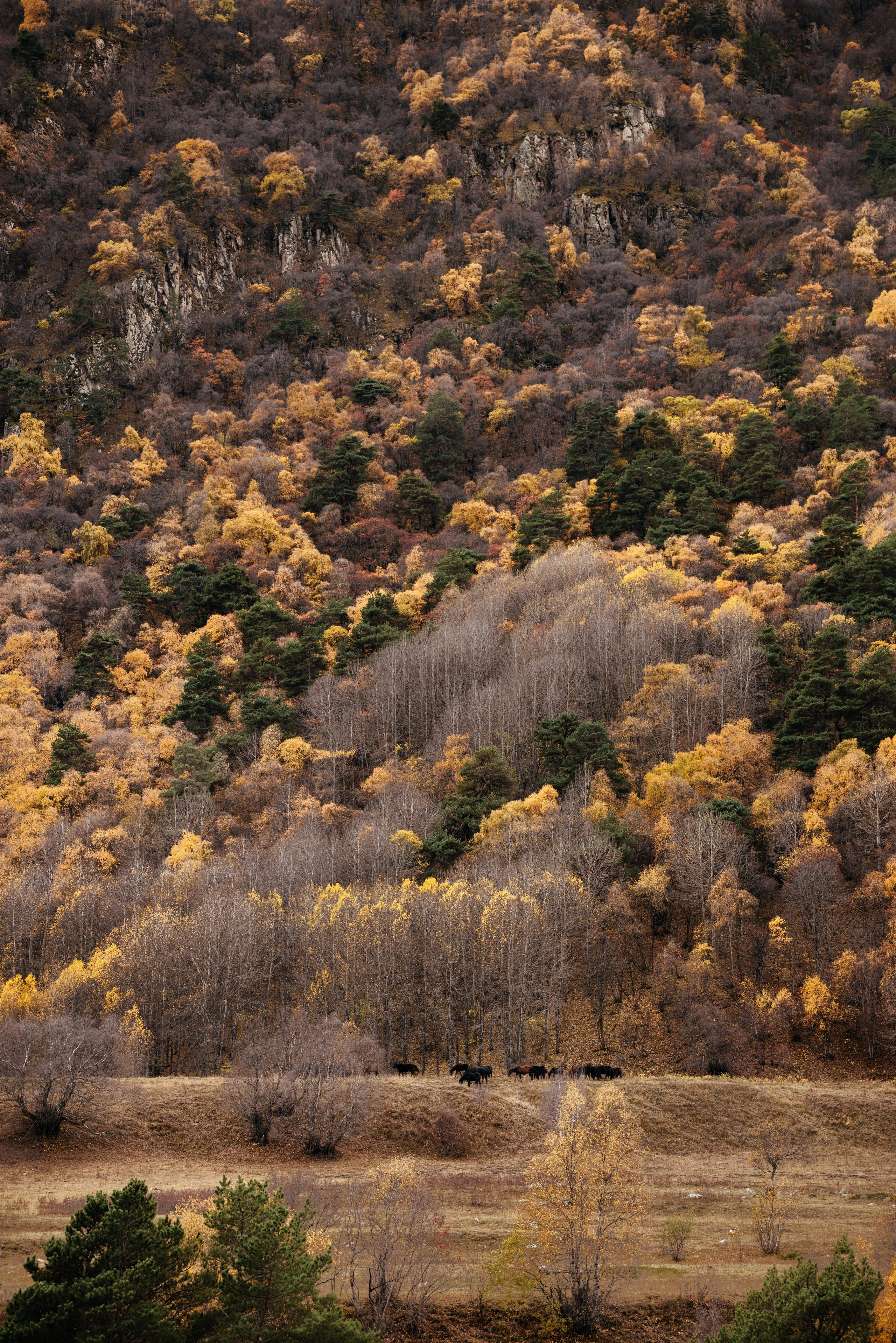 Фотосессии в горах. Семейный фотограф Пятигорск, Кисловодск, Эльбрус. Марина Вяликова