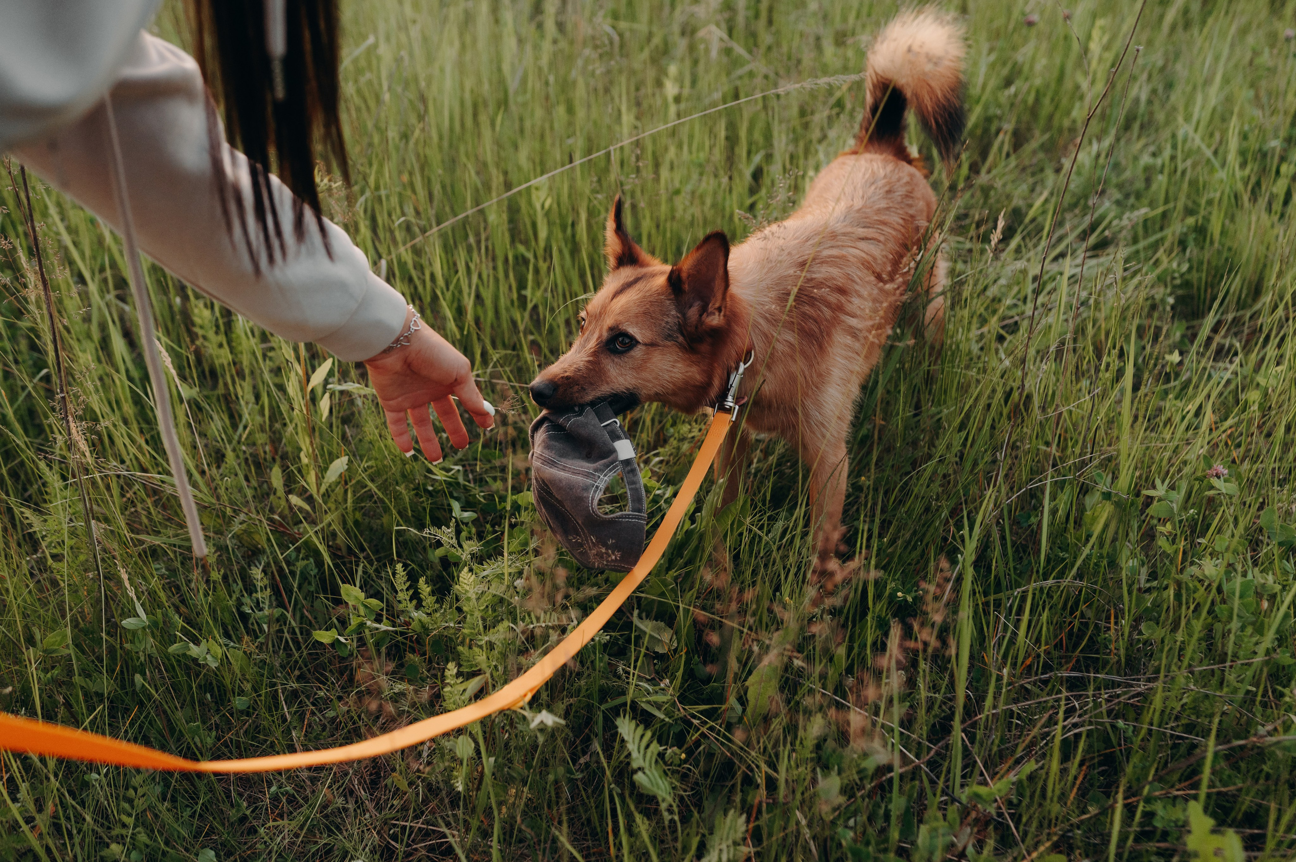 Яна и Санька. Главная