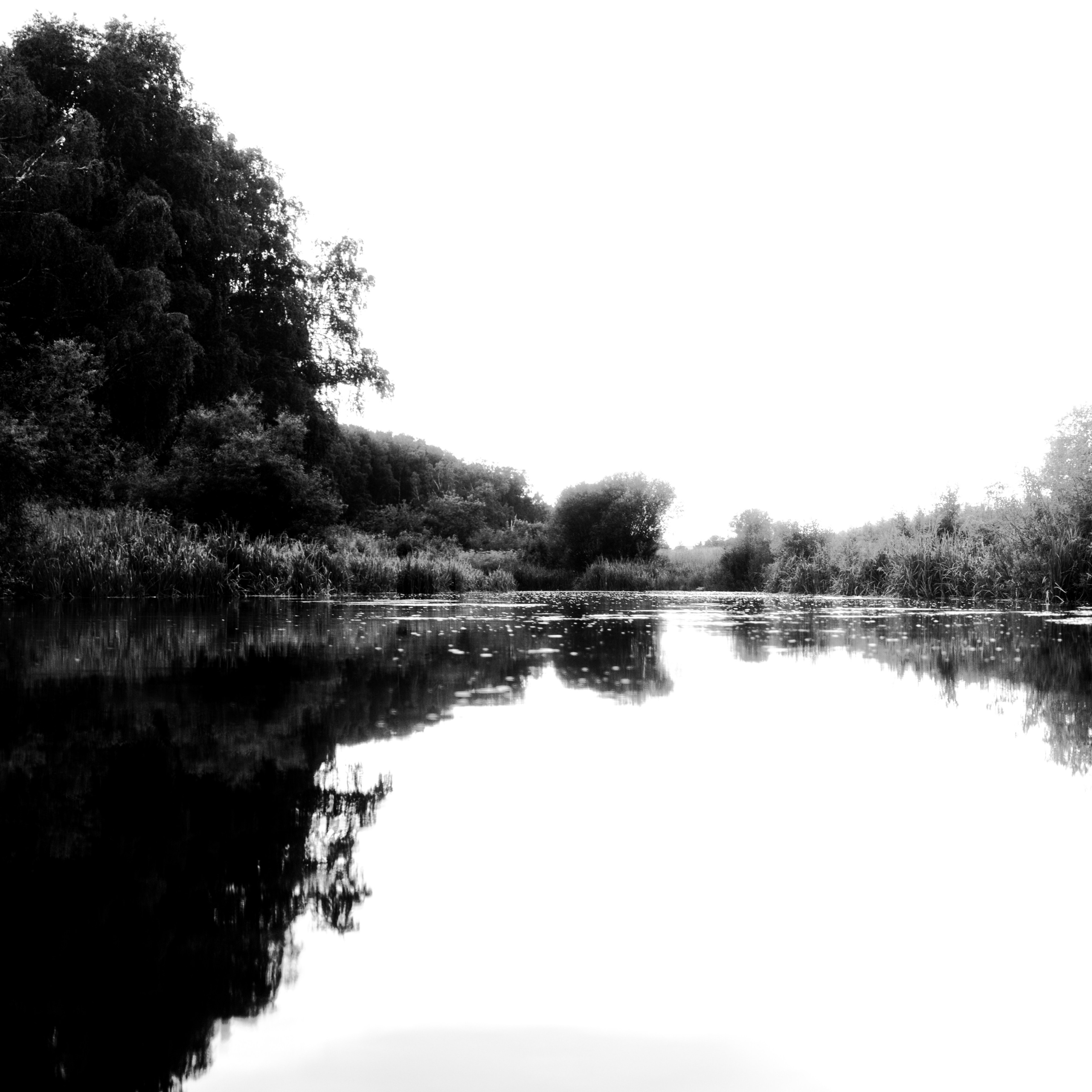 Natural Noir. Whoii art