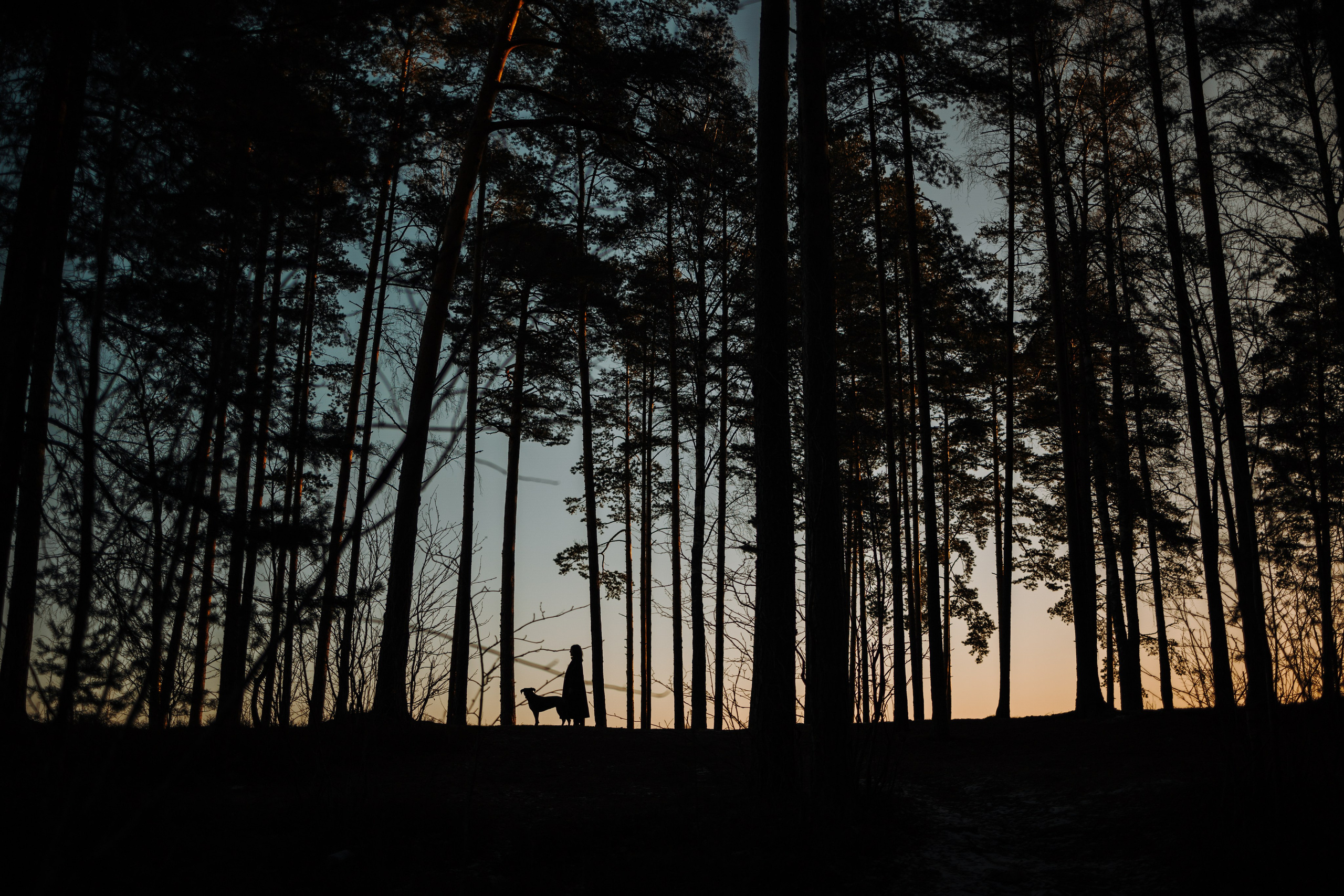 Анна и Лана. Фотограф — Анималист | Санкт-Петербург