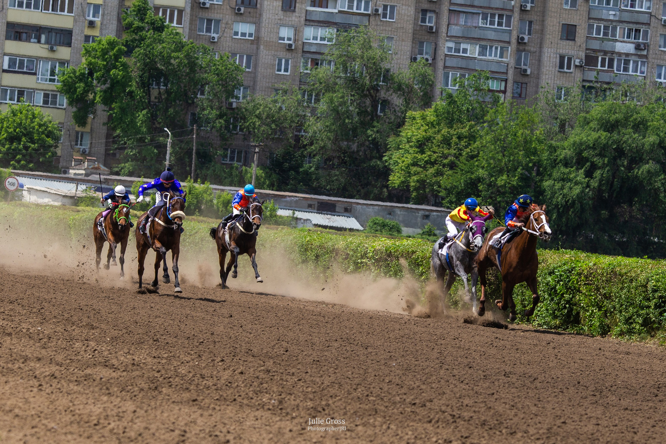 Скачки. Фотосессии Ростов-на-Дону, Новочеркасск Юлия Гросс