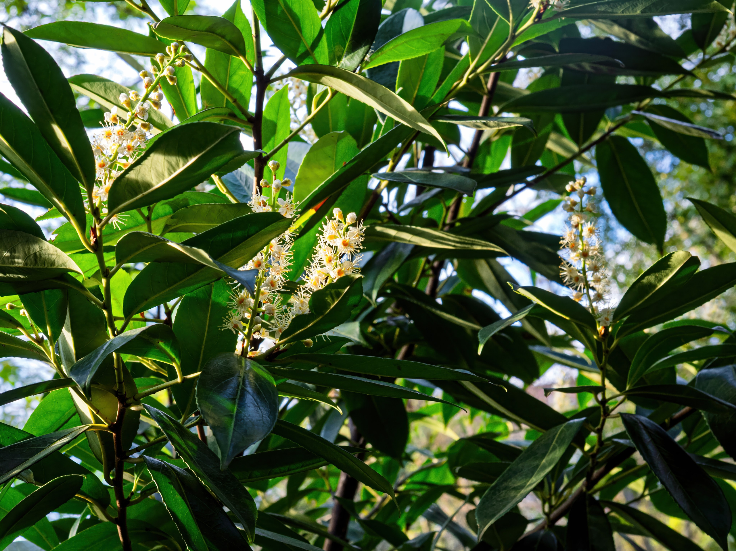 Крым, Утес, 2021 год. Фотограф Никифоров-Гордеев Сергей. Москва и МО