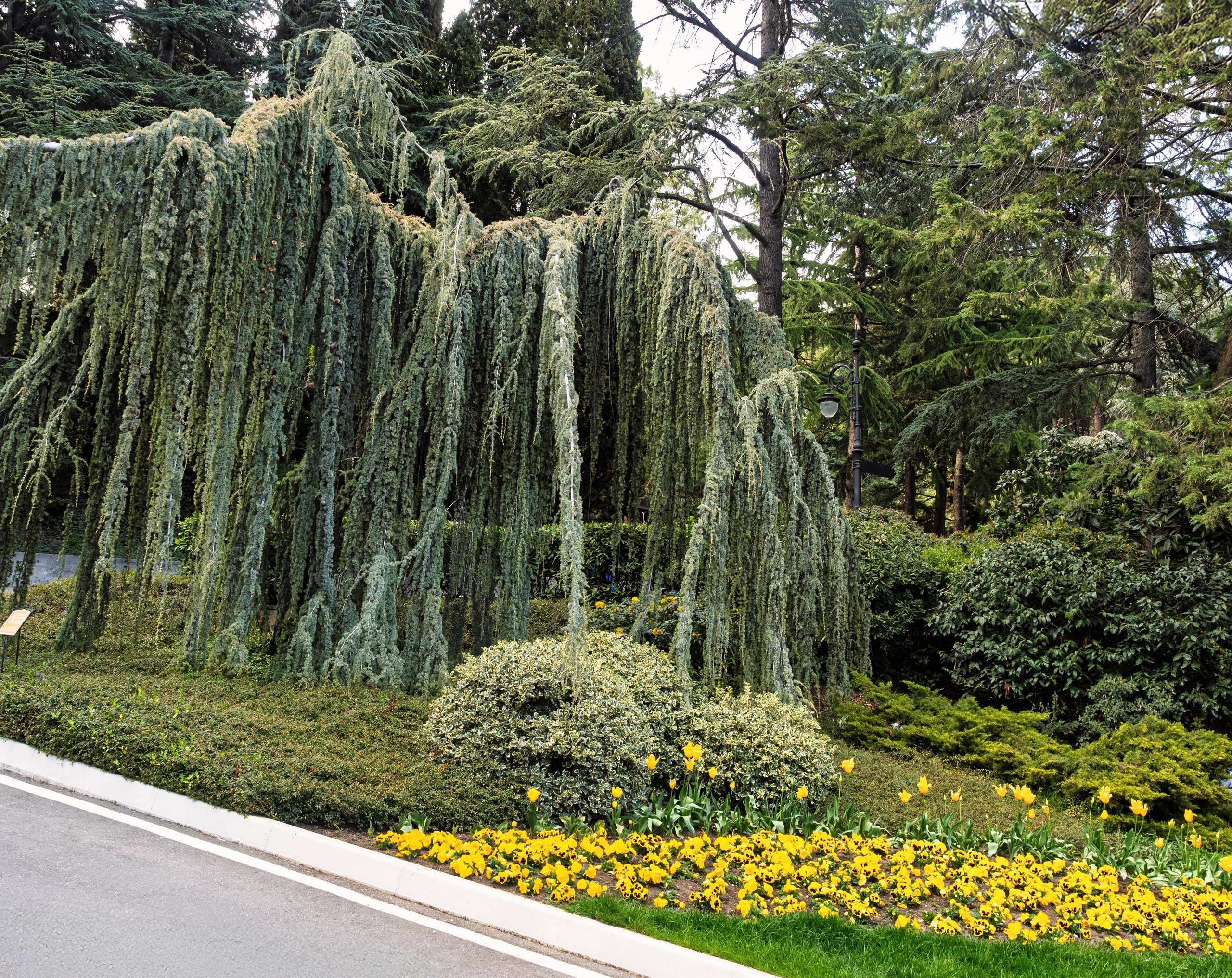 Крым, Утес, 2021 год. Фотограф Никифоров-Гордеев Сергей. Москва и МО