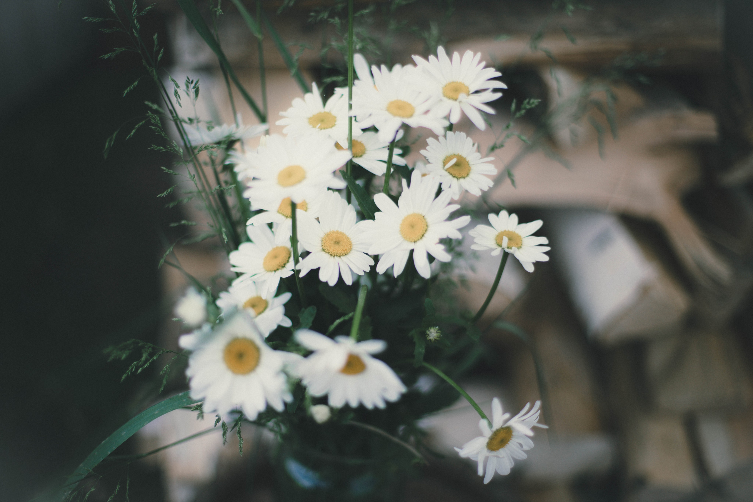 Алексей & Александра. Фотограф Чекмагуш Уфа Хансверова Зарина