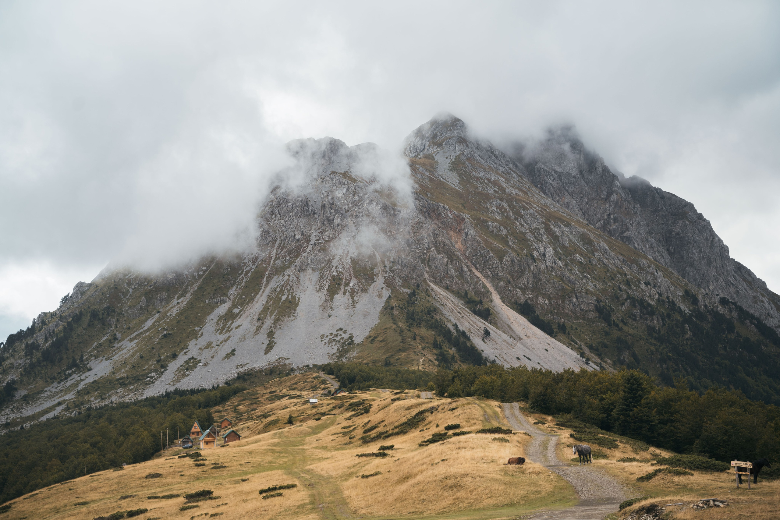 ГОРЫ КОМОВИ. ЧЕРНОГОРИЯ. Фотограф в Белграде Чугреева Елена