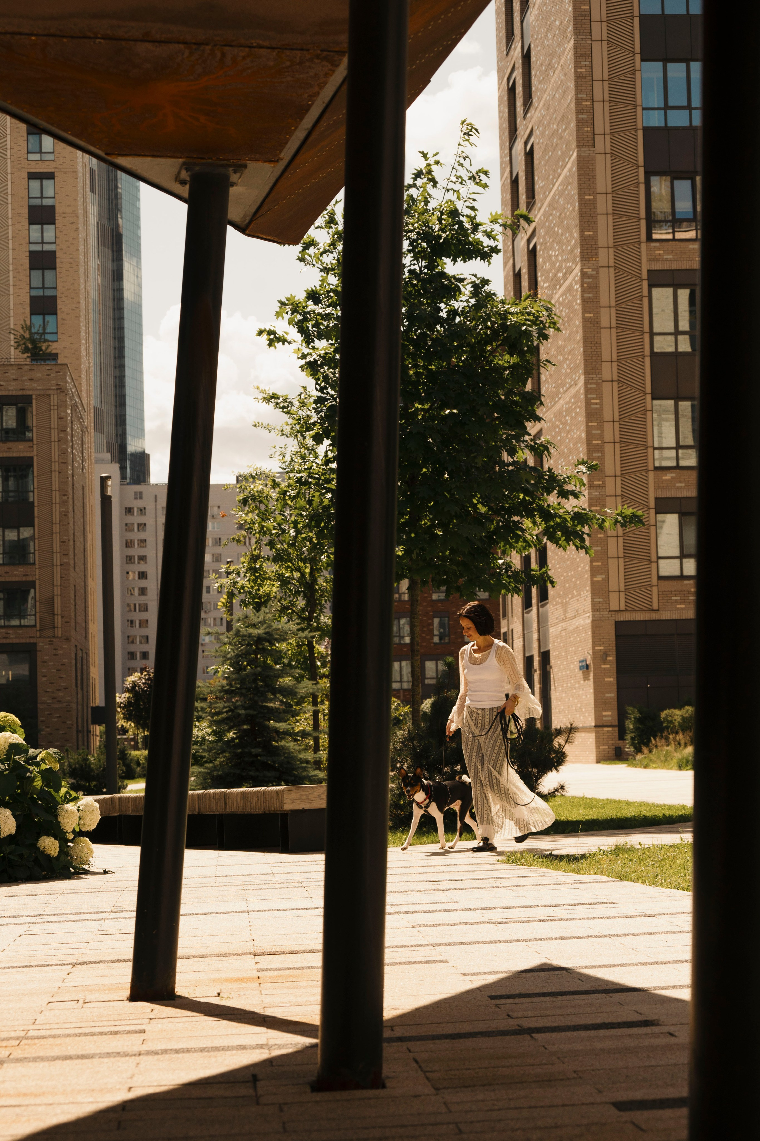 Златан. Фотограф- анималист Александра Матвеева