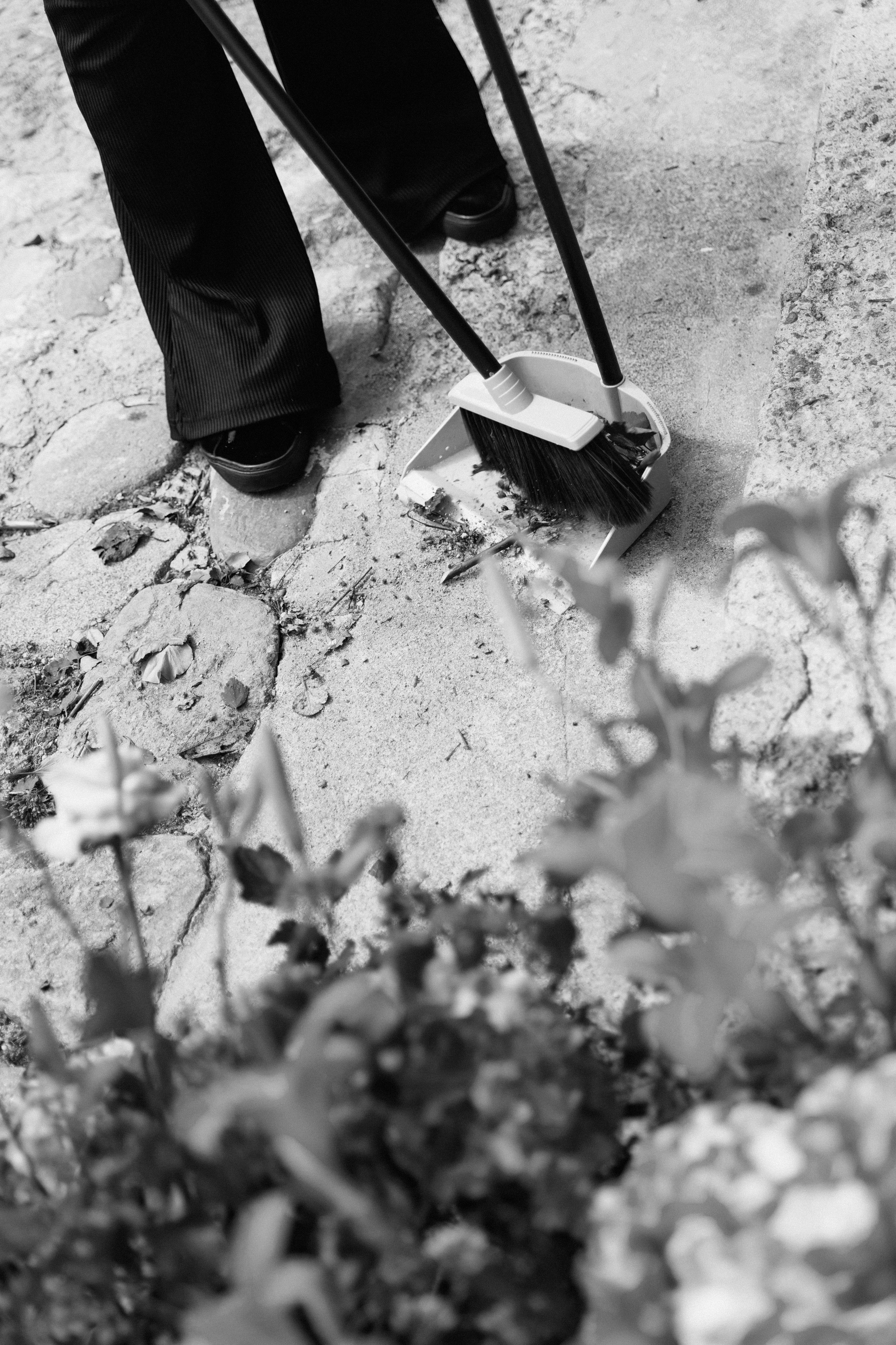 Anna & Alex film/digital Dwor Staiki. Свадебный фотограф Кристина Винокурова