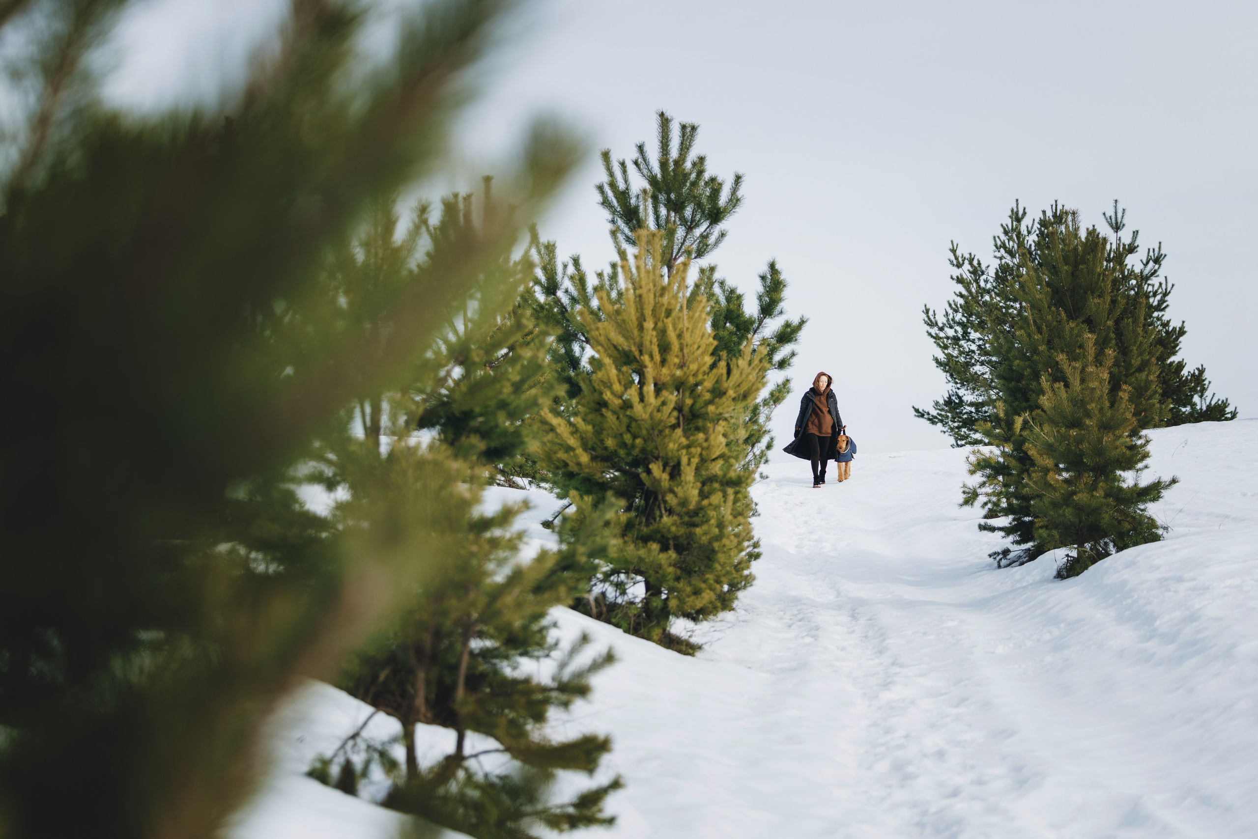 Оля и Хард. Фотограф анималист Осипчикова Мария