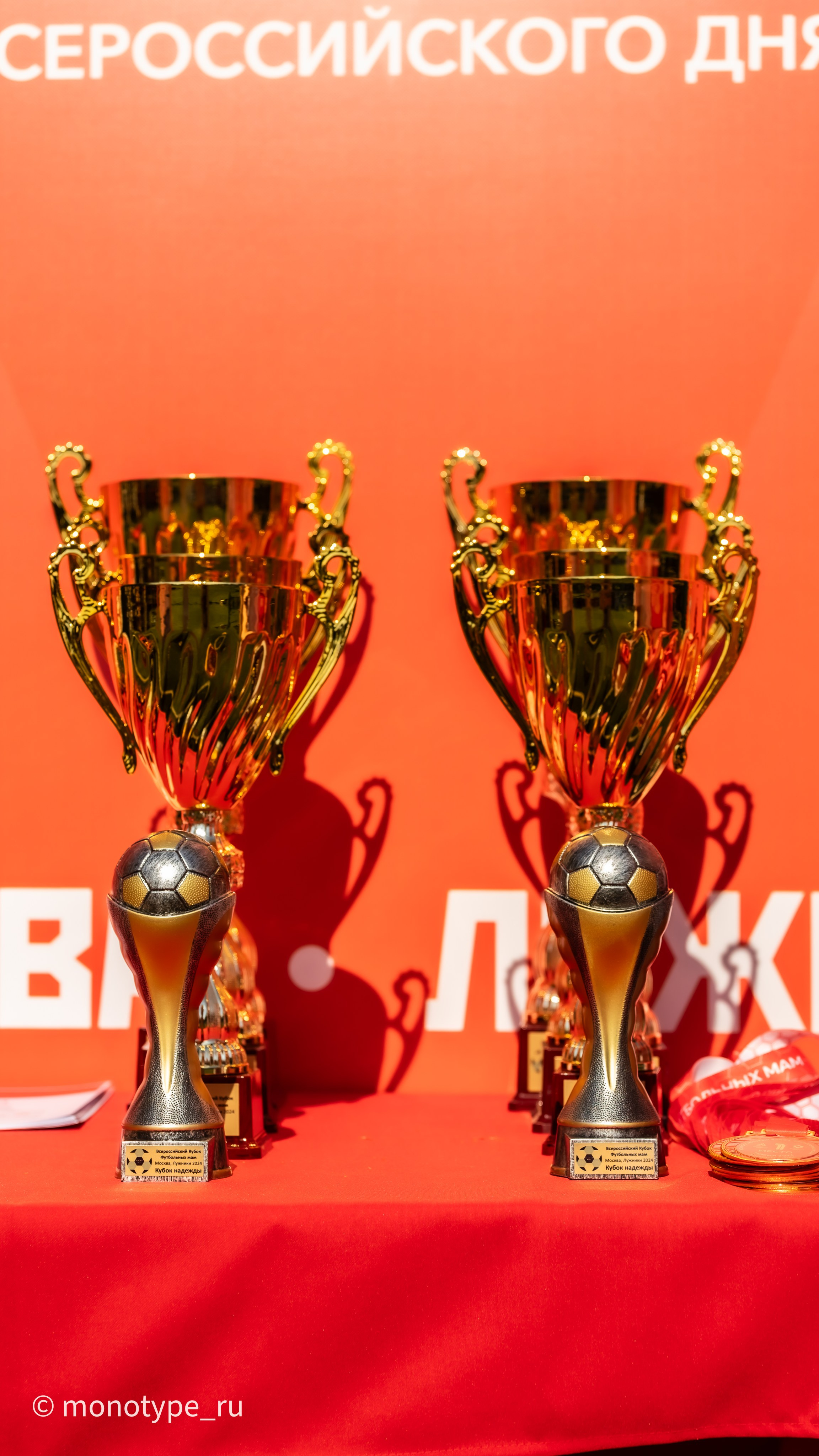 Всероссийский Кубок футбольных мам. Москва. Лужники