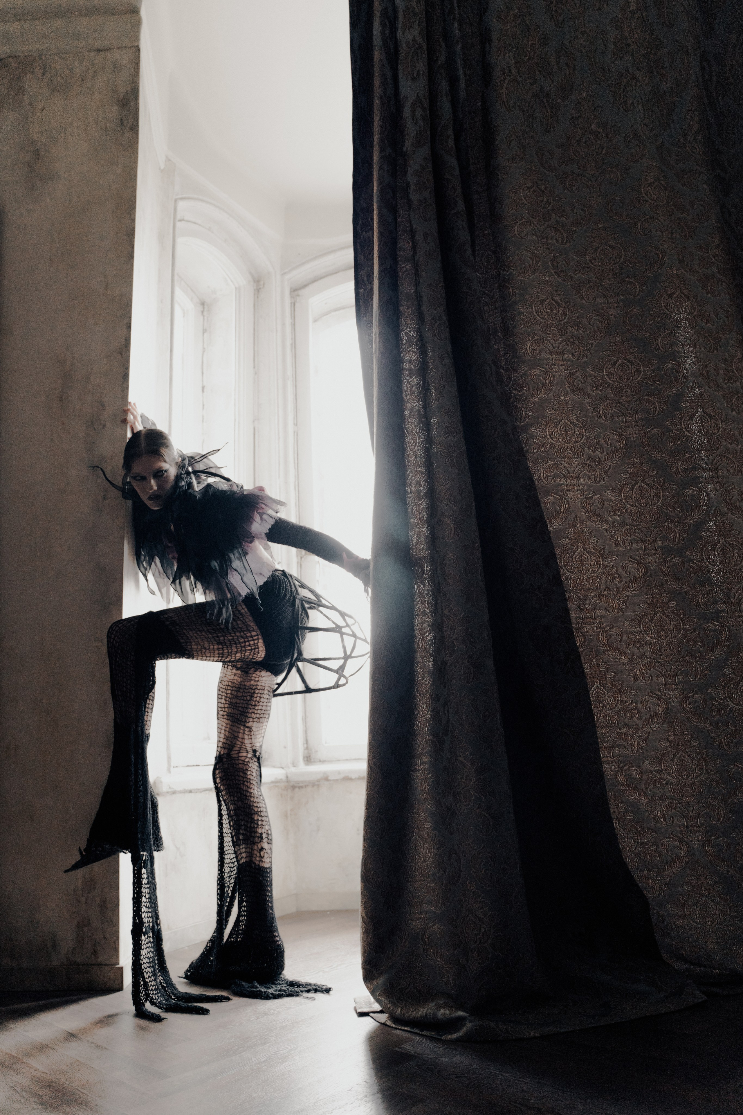 Паук. Фотограф Anita Mivchas