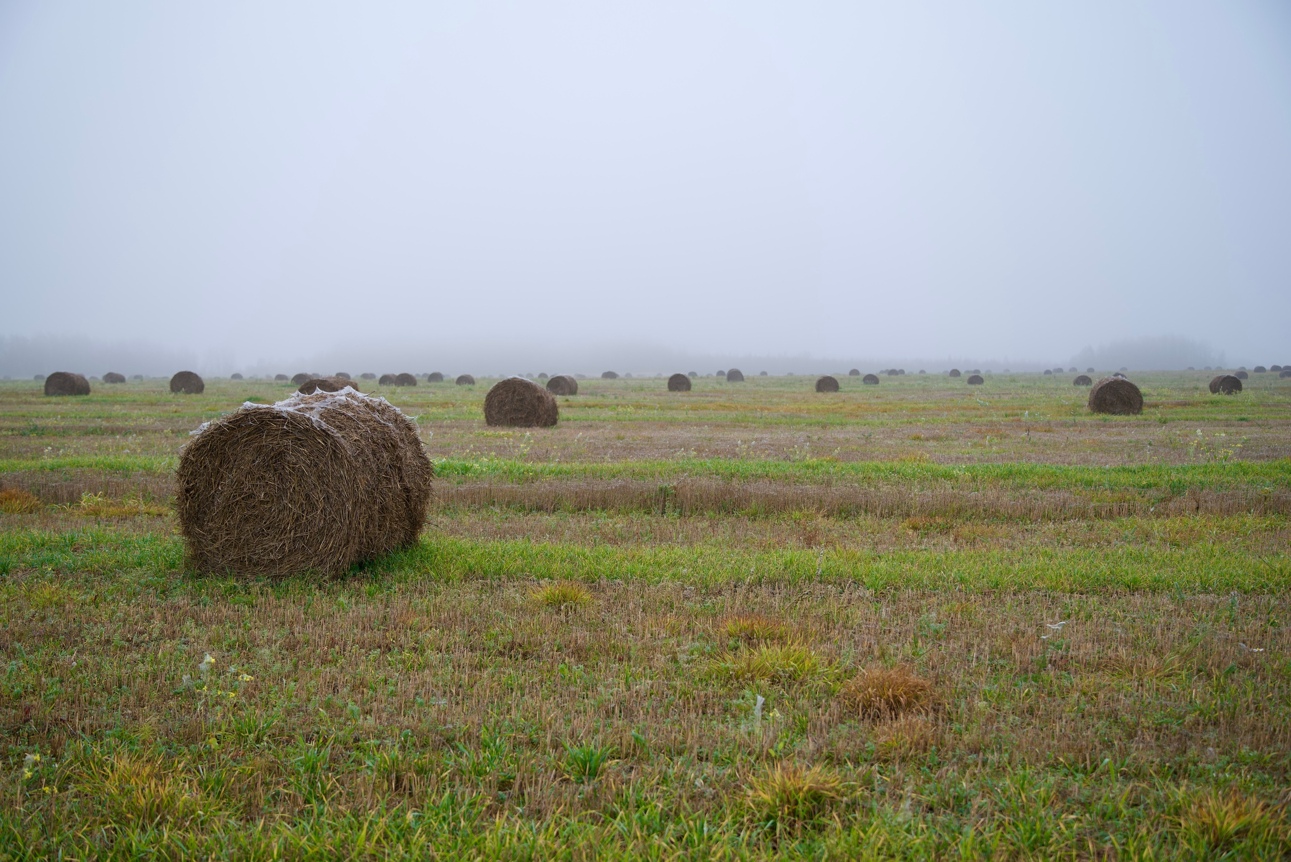 Семейный, уличный и пейзажный фотограф в Москве Никифоров Виктор