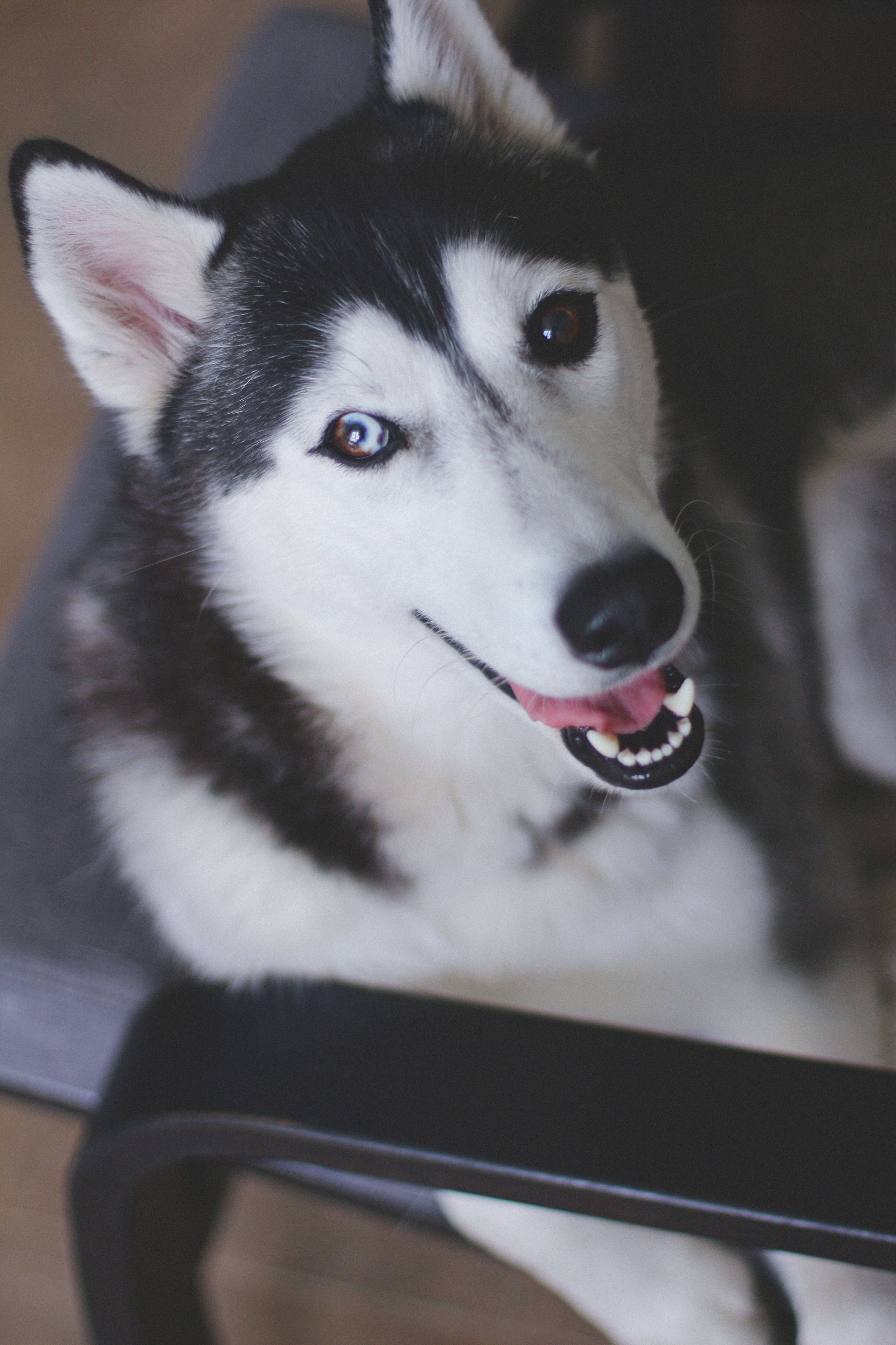 Марта. Фотограф Адигамова Юлия в Петербурге