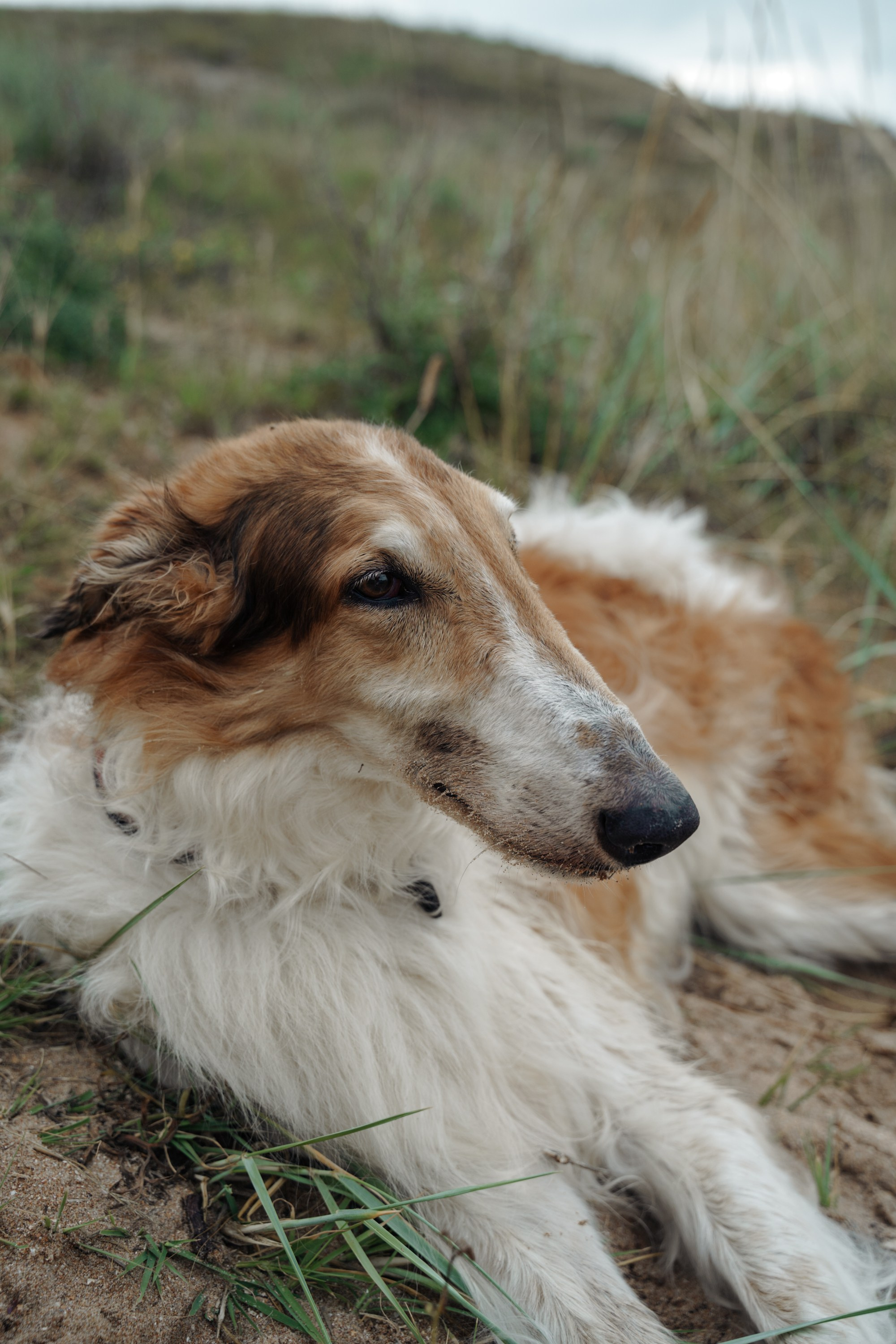 Mermaid. Портретный фотограф в Краснодаре Валерия Матирная