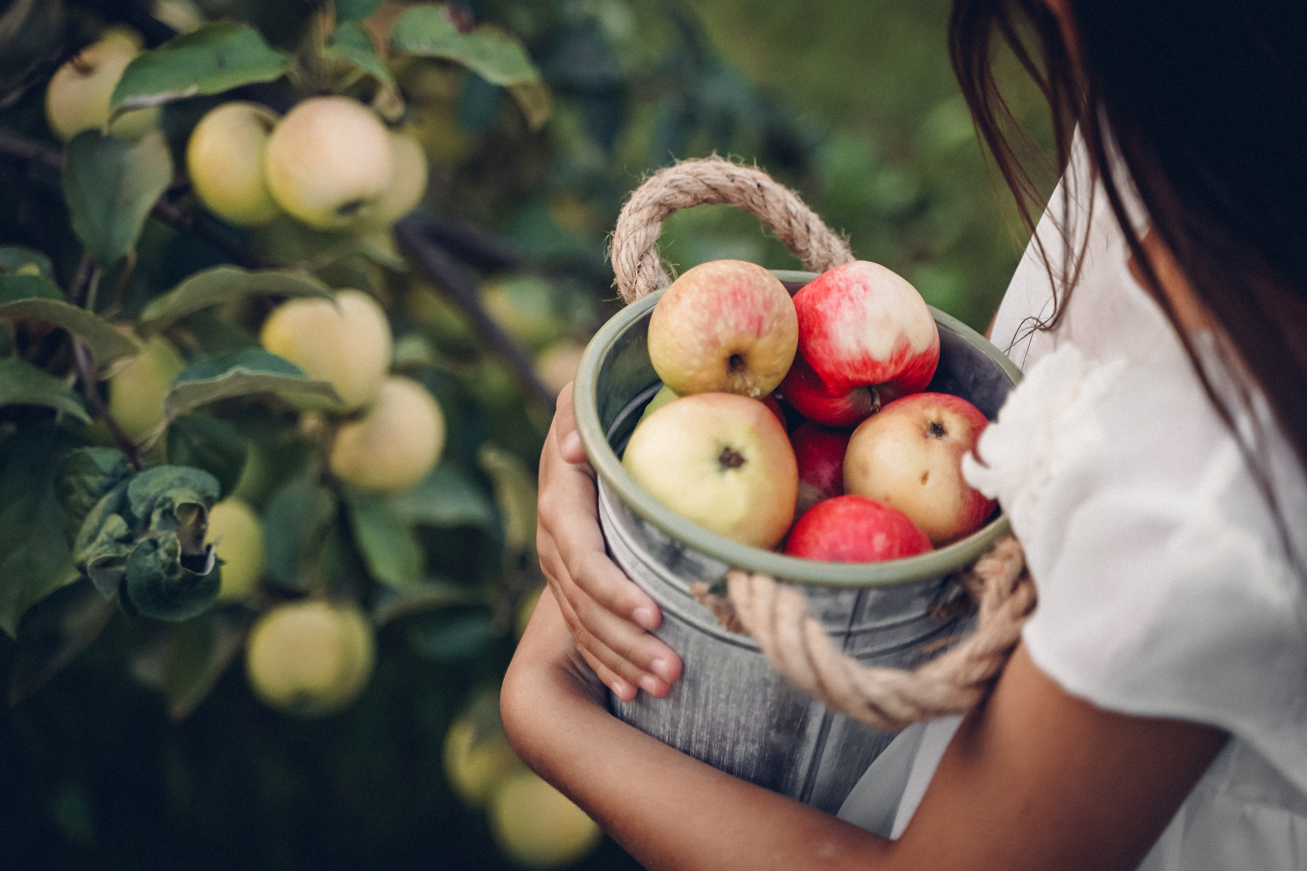 Дети. Семейный и детский фотограф Екатерина Антонова