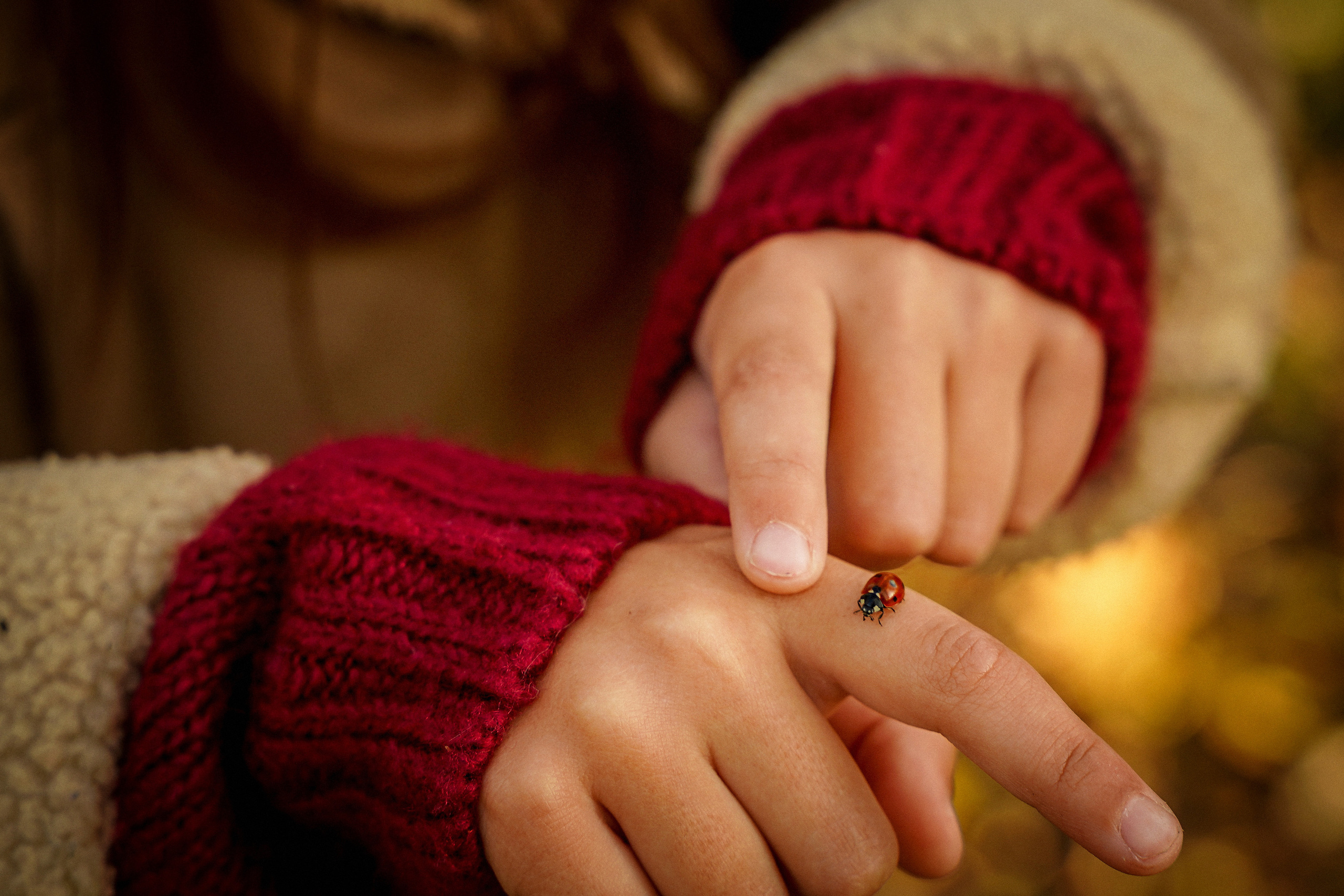 Дети. Семейный и детский фотограф Екатерина Антонова