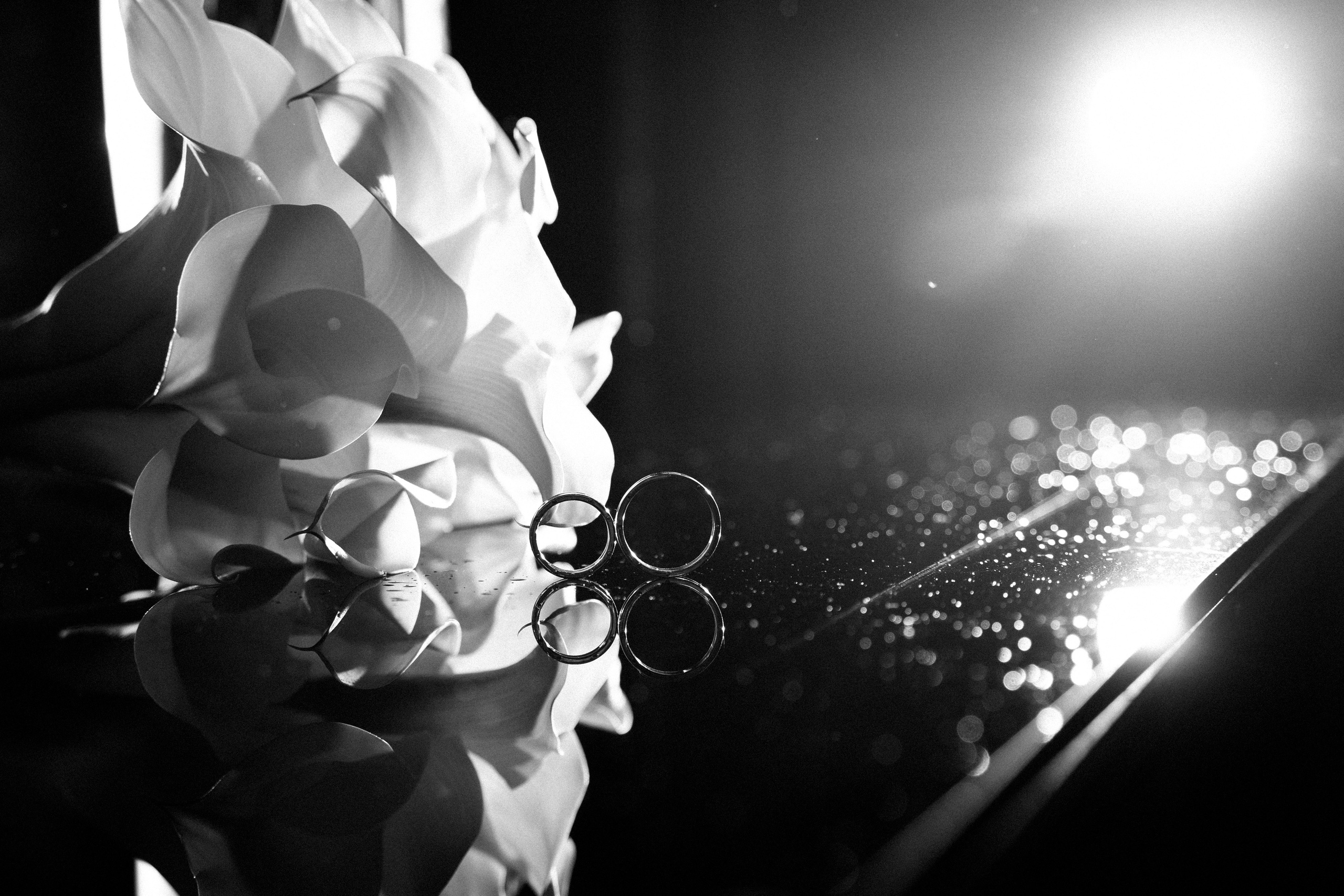 Семьи. Семейный и детский фотограф Екатерина Антонова