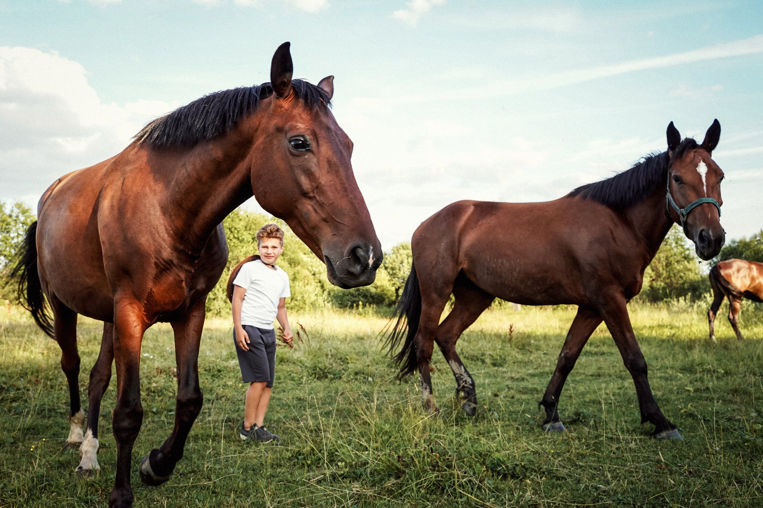 Дети. Семейный и детский фотограф Екатерина Антонова
