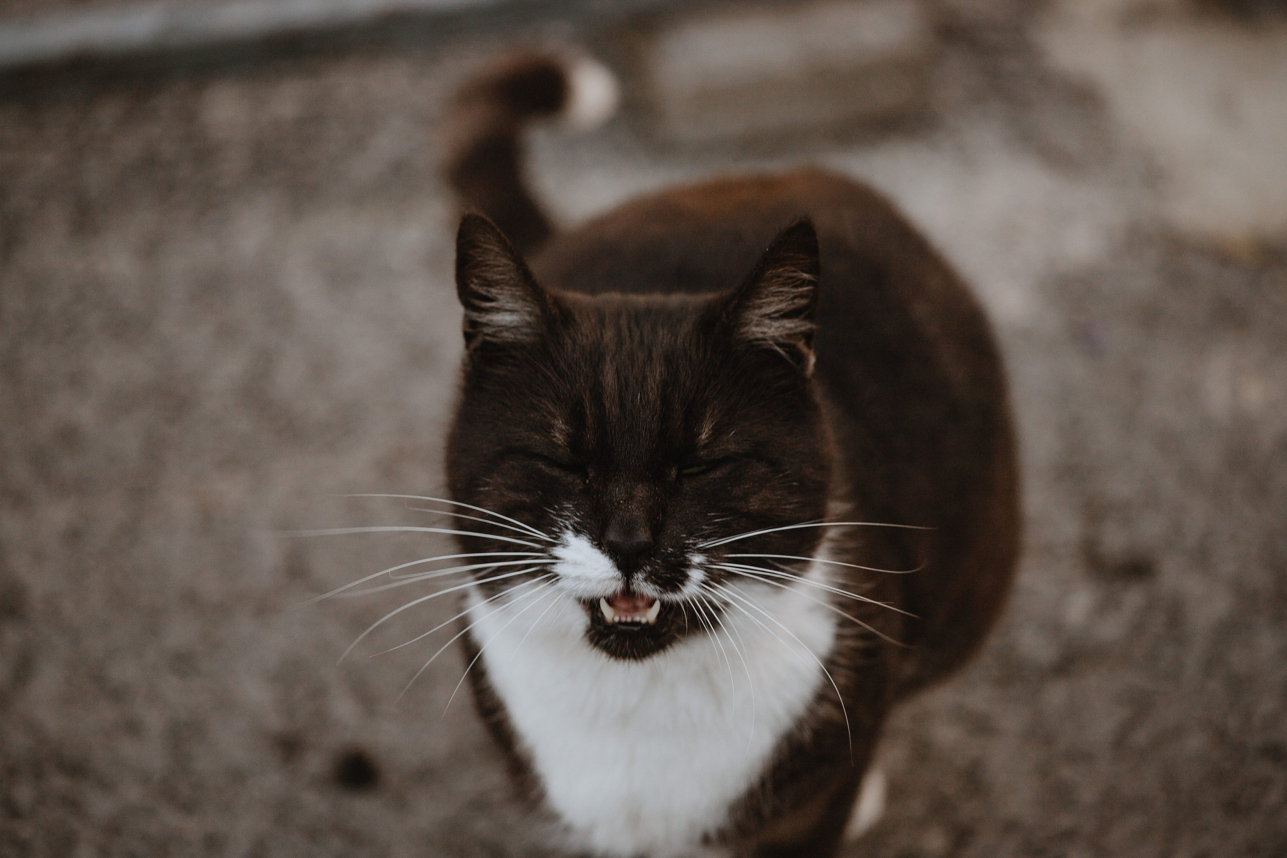 Любовь в Керчи. Фотограф Алиса Субботина