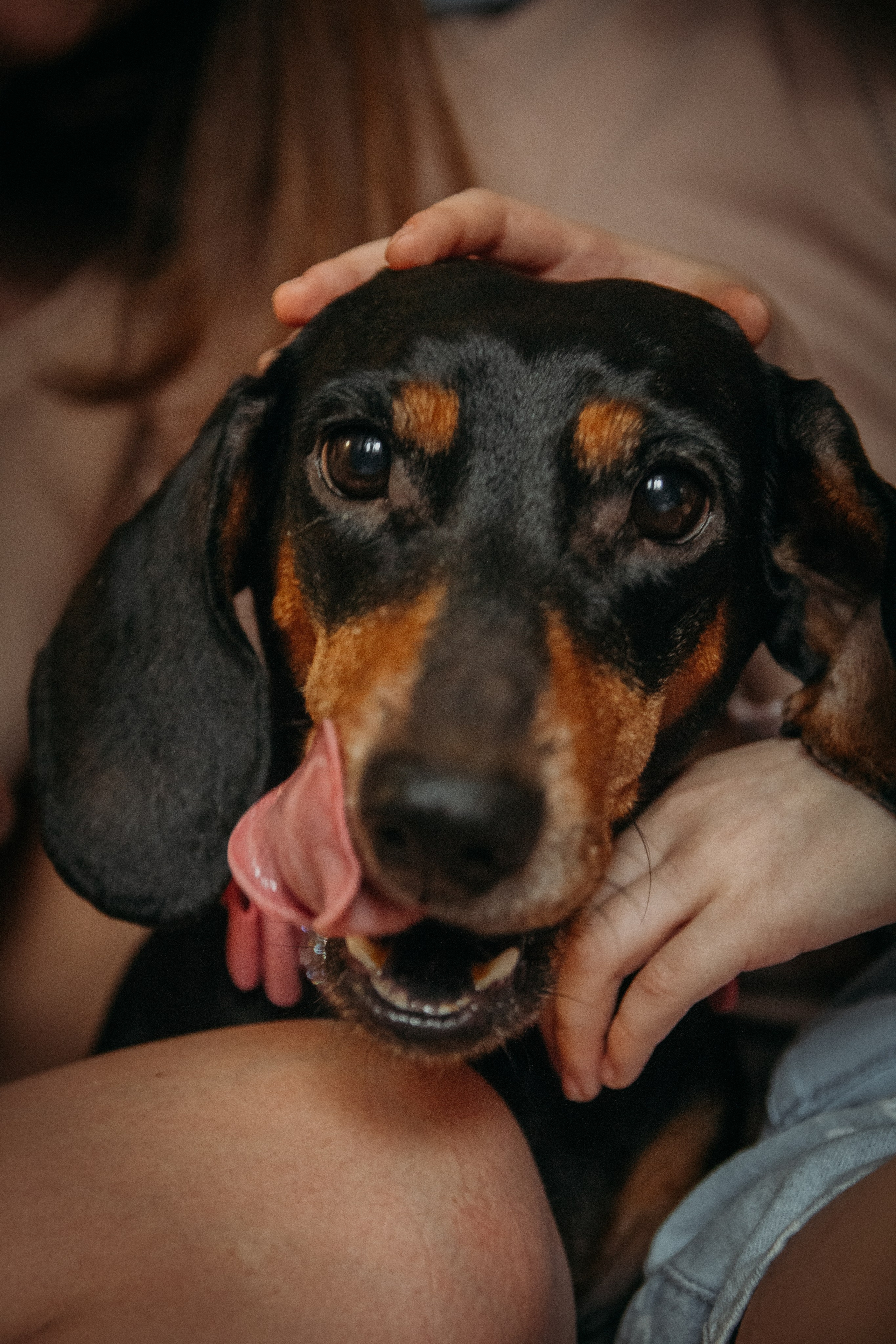 Вместе лучше. Семейный фотограф Наталия Книппенберг