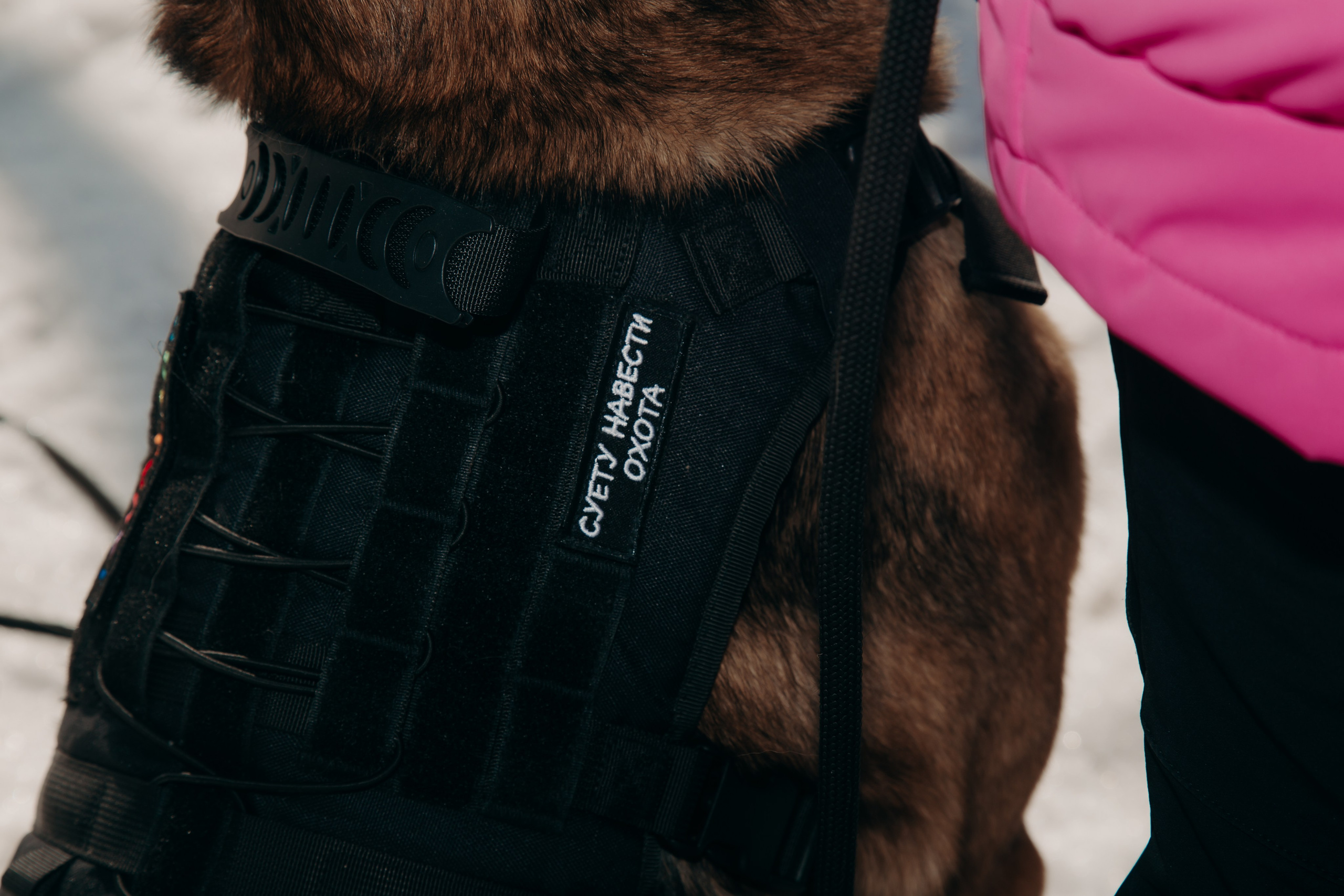 Тренировка с киноголом. Фотограф вашей улыбки. Москва