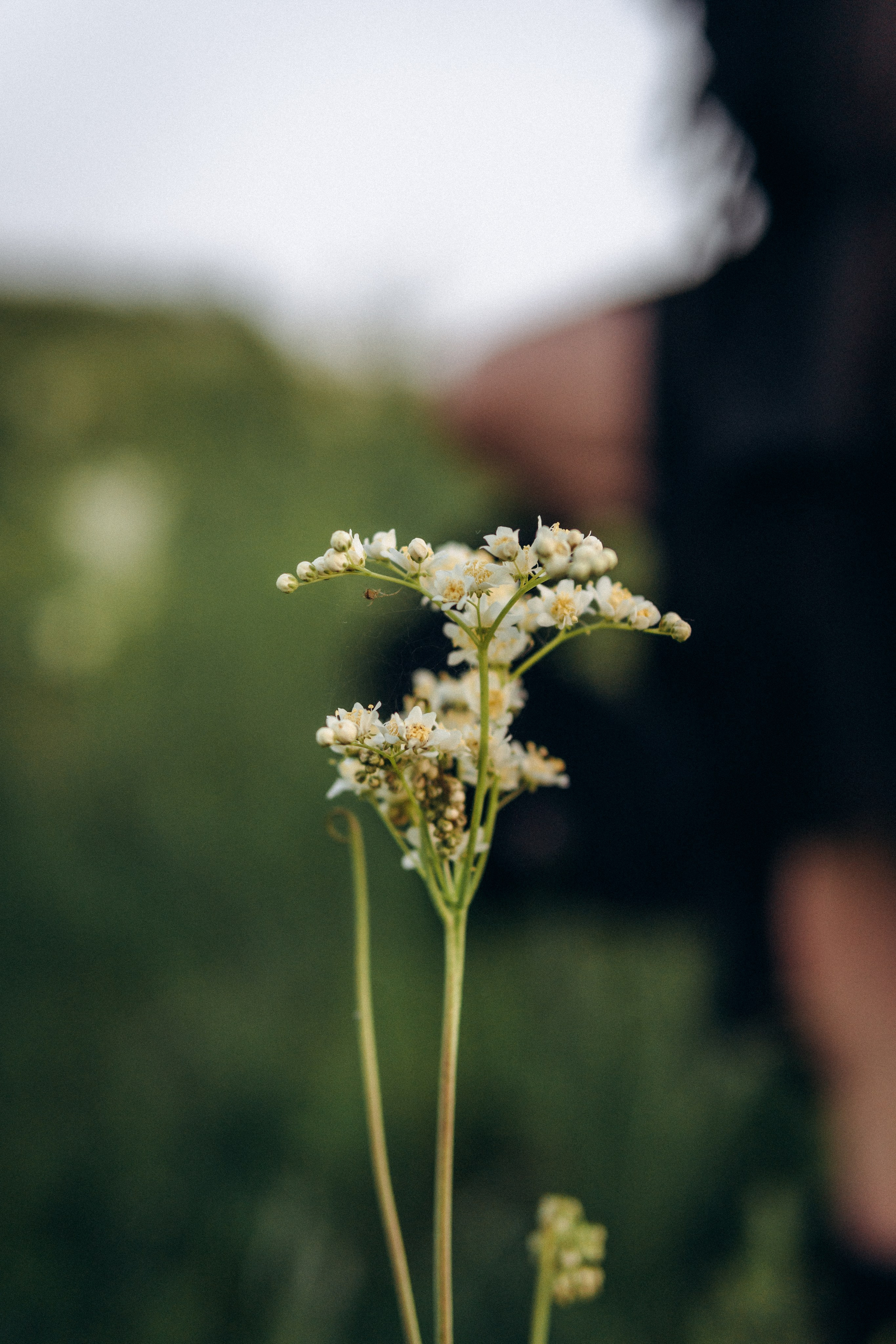 Lilit. Natalya Bondareva Photographу