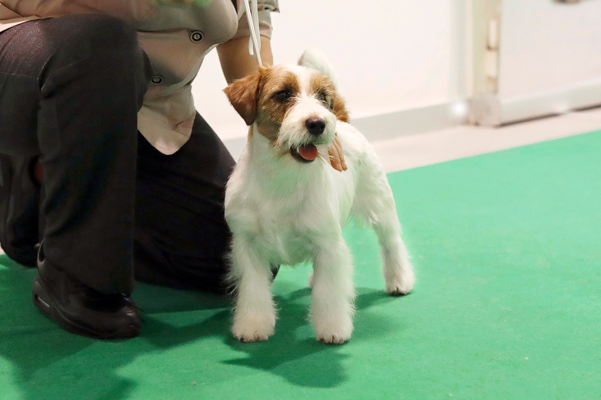 Port Fortis Zoom Zoom