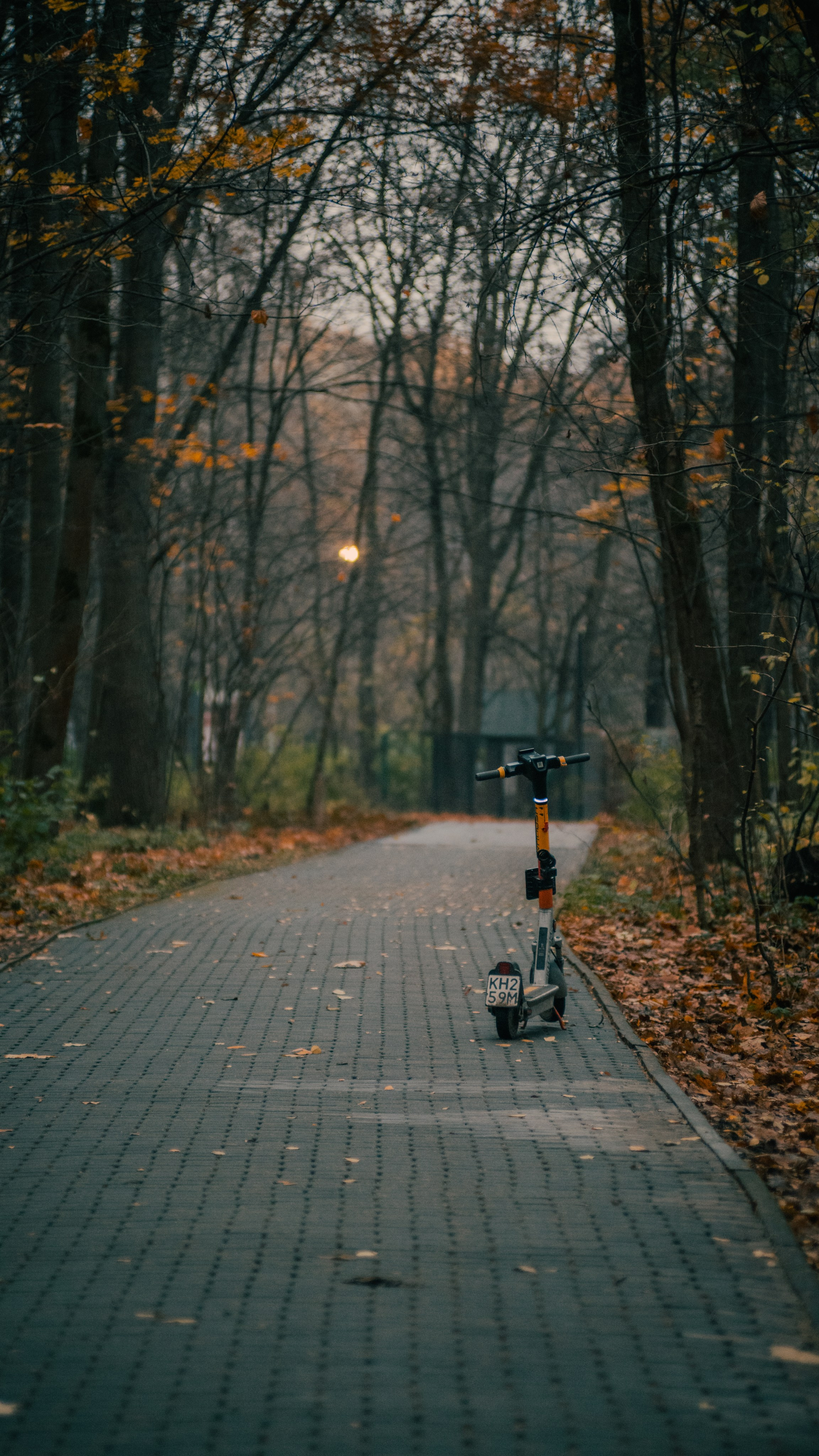 Autumn mood. MadGoose — Street photographer