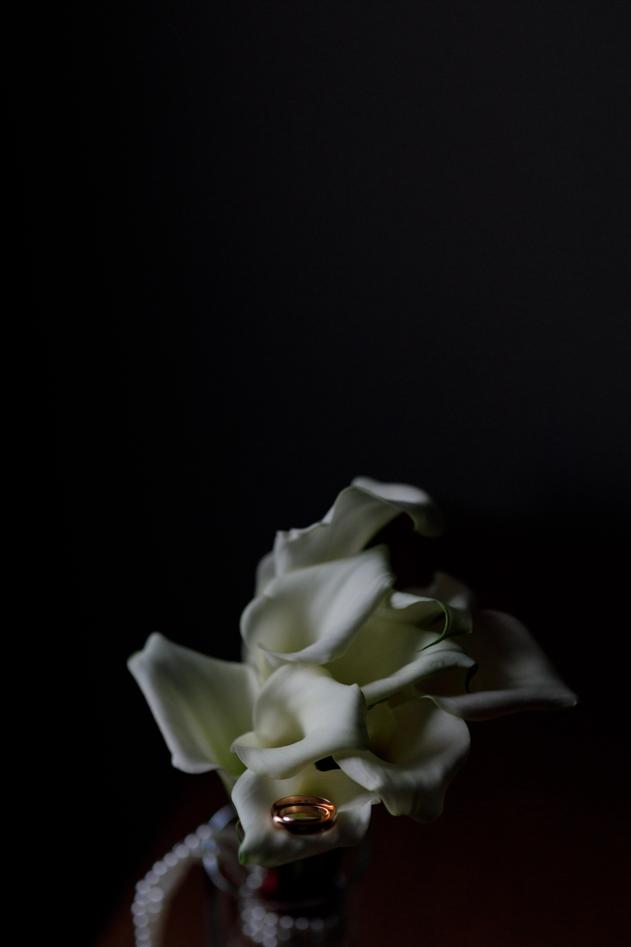 Александра и Николай. Фотограф Дарья Норкина