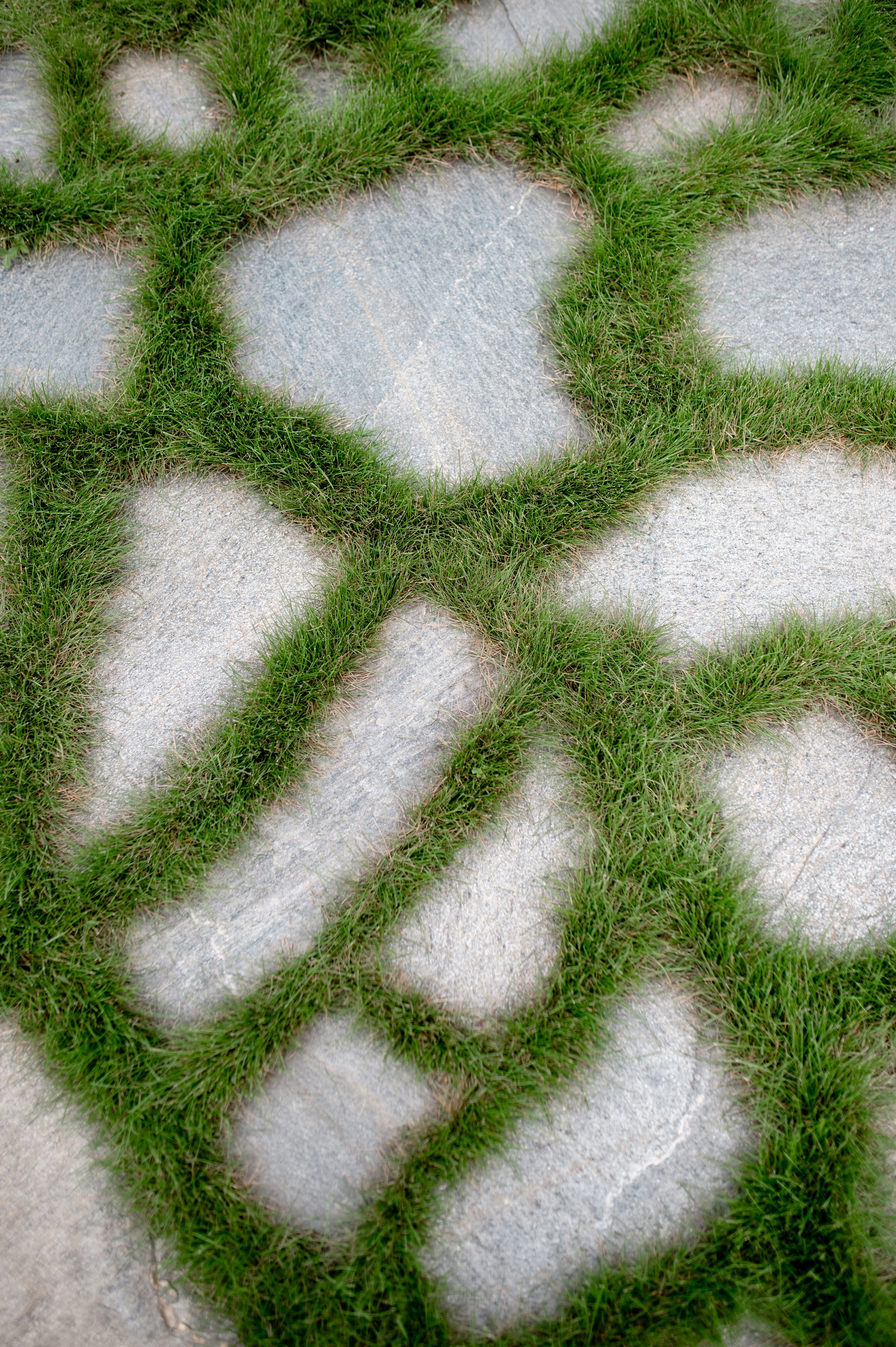 Егор и Кристина. Свадебный и портретный фотограф