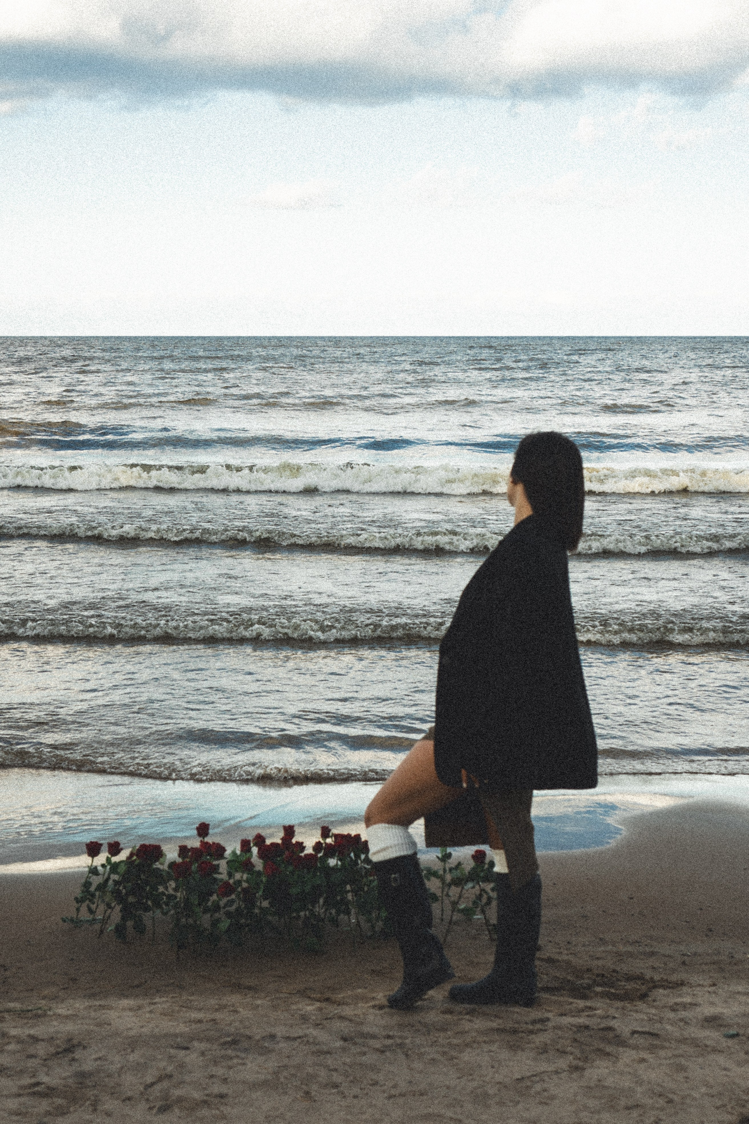 Розы. Профессиональный фотограф, Санкт-Петербург — Виктория Богомолова