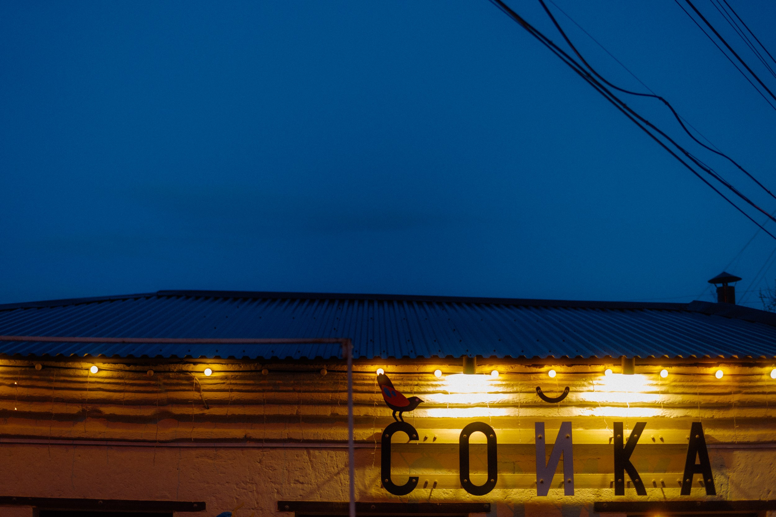 Сойка (Гастровечер). Фотограф Ирина Романова