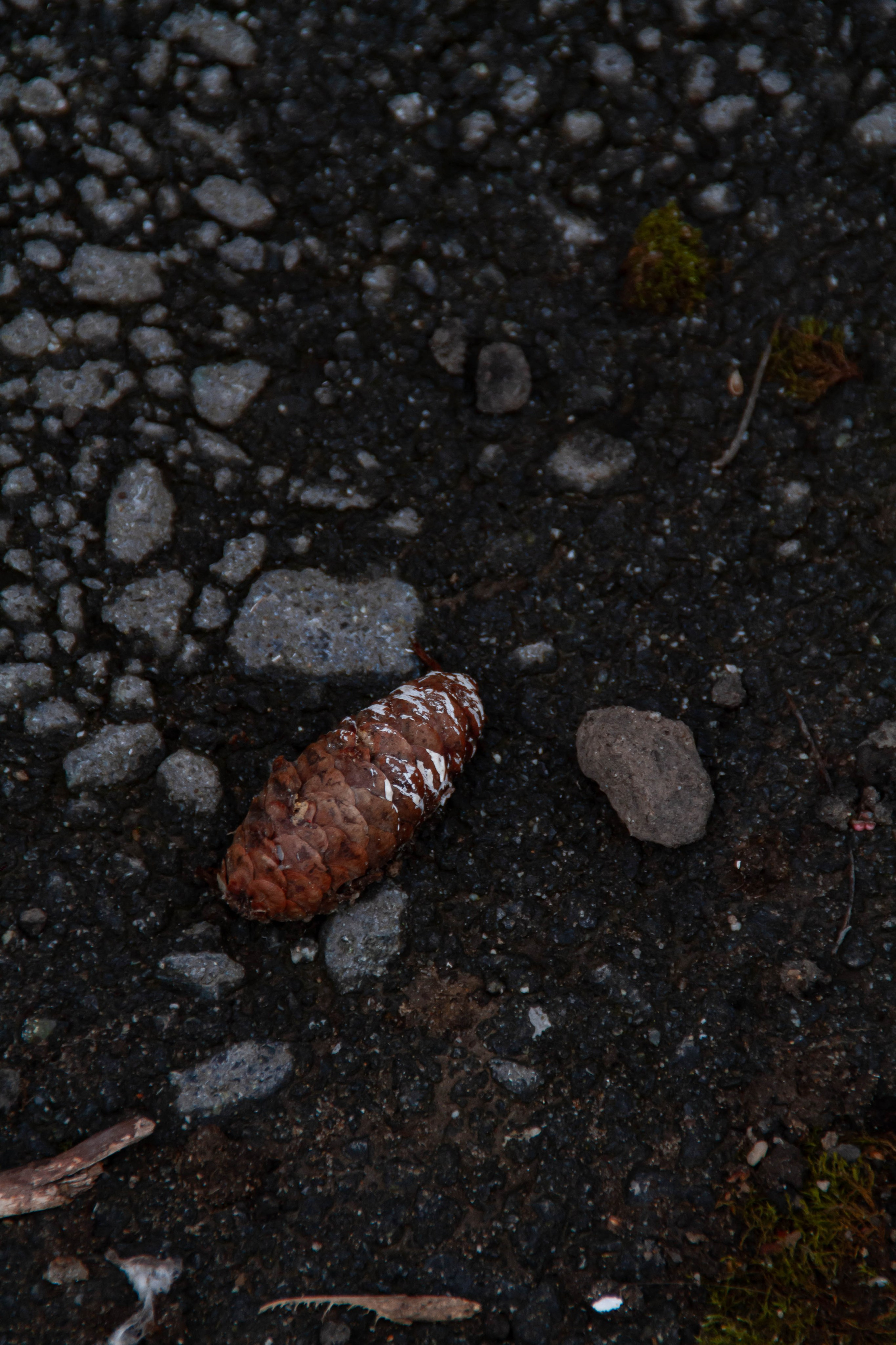 Архитектура