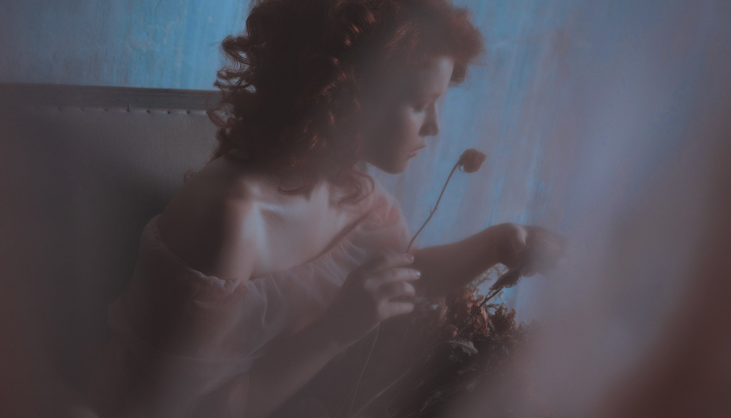 Renaissance. Barabaka.jpg | photographer Dubai