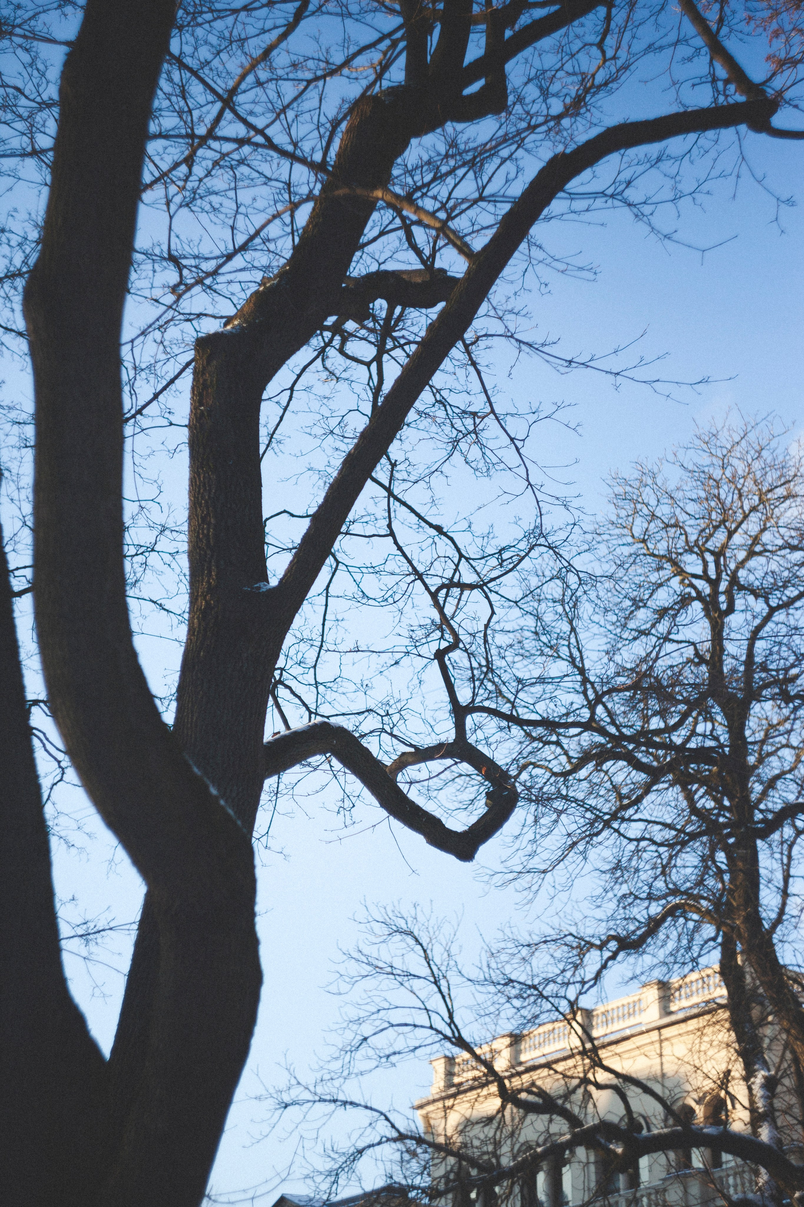 В Алексеевском саду. Фотограф Адигамова Юлия в Петербурге