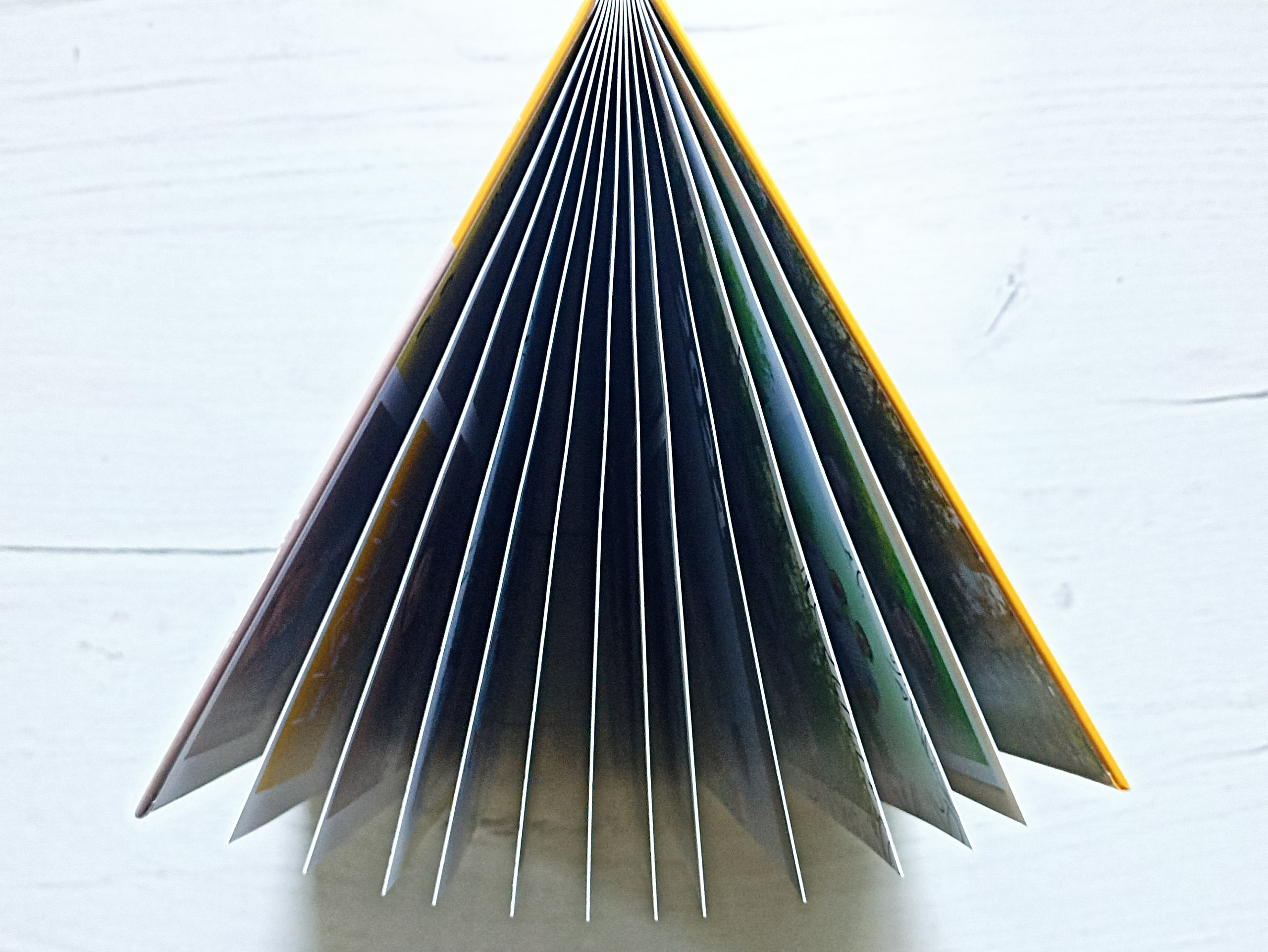 12 разворотов 3500. Выпускные альбомы Майкоп, Краснодар Елена Золотарева