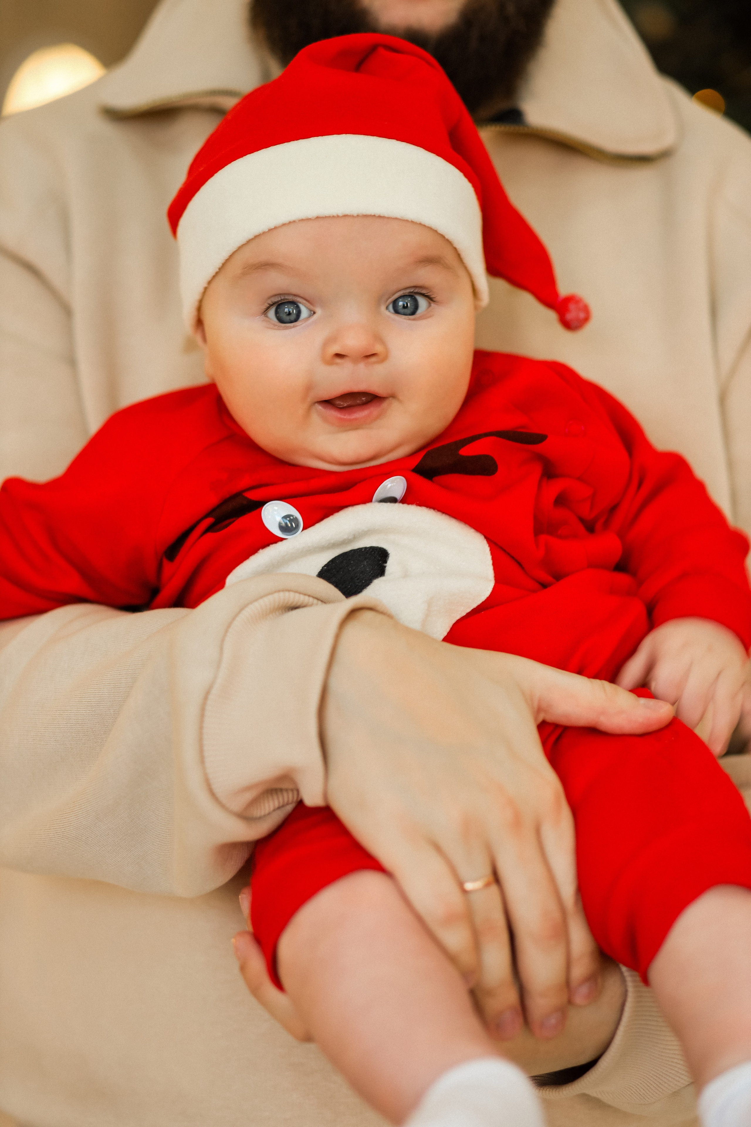 Екатерина, Дмитрий и Роберт новогодняя. Kharchenkotatianaweddingphoto