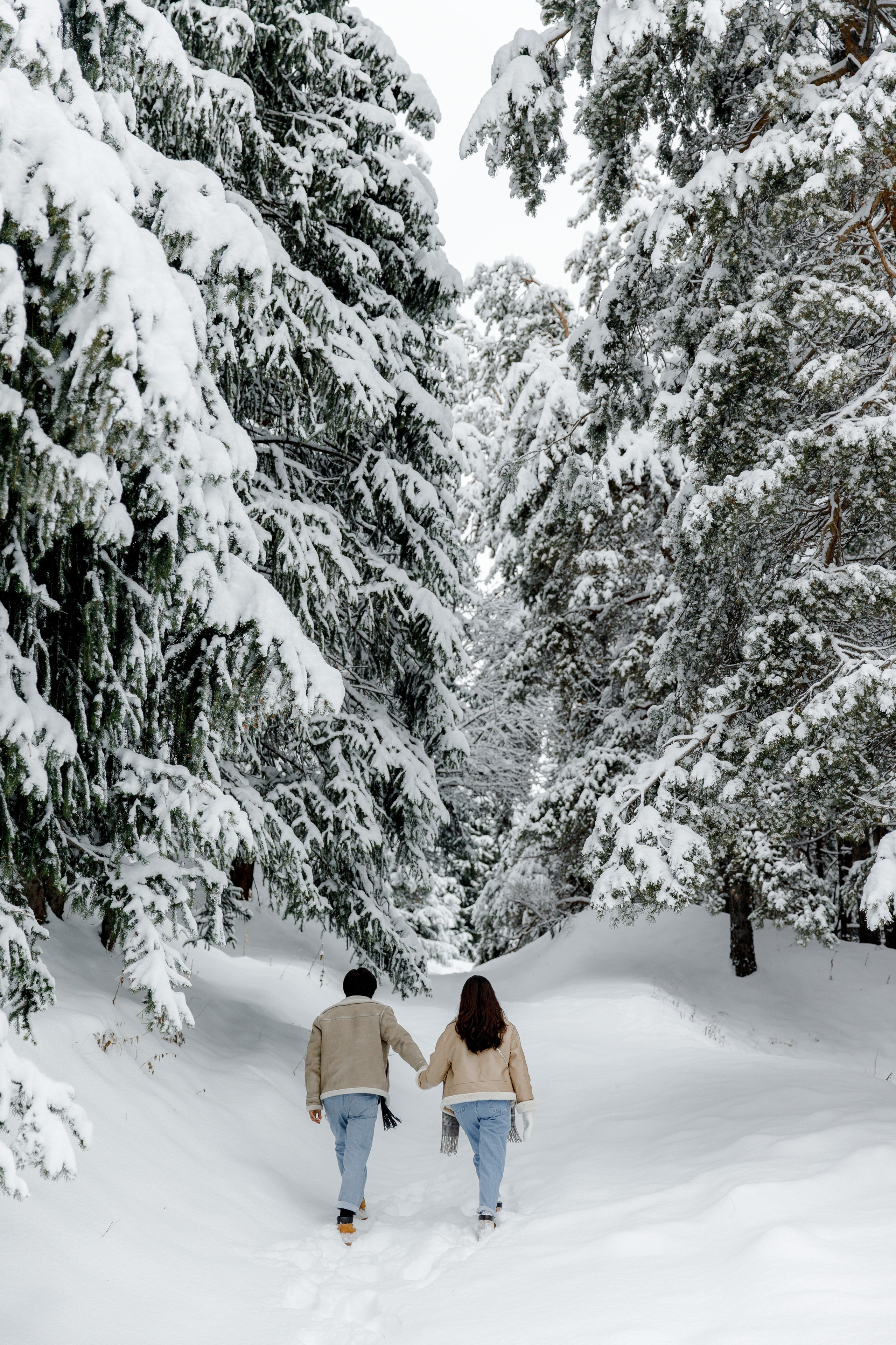 Люби!. ___________________________________________________