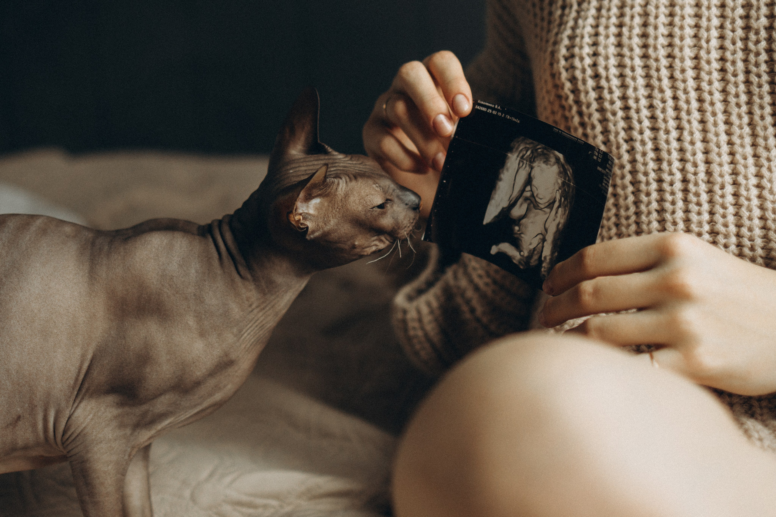 В ожидании чуда. Семейный и детский фотограф в Тюмени Вика Алленова