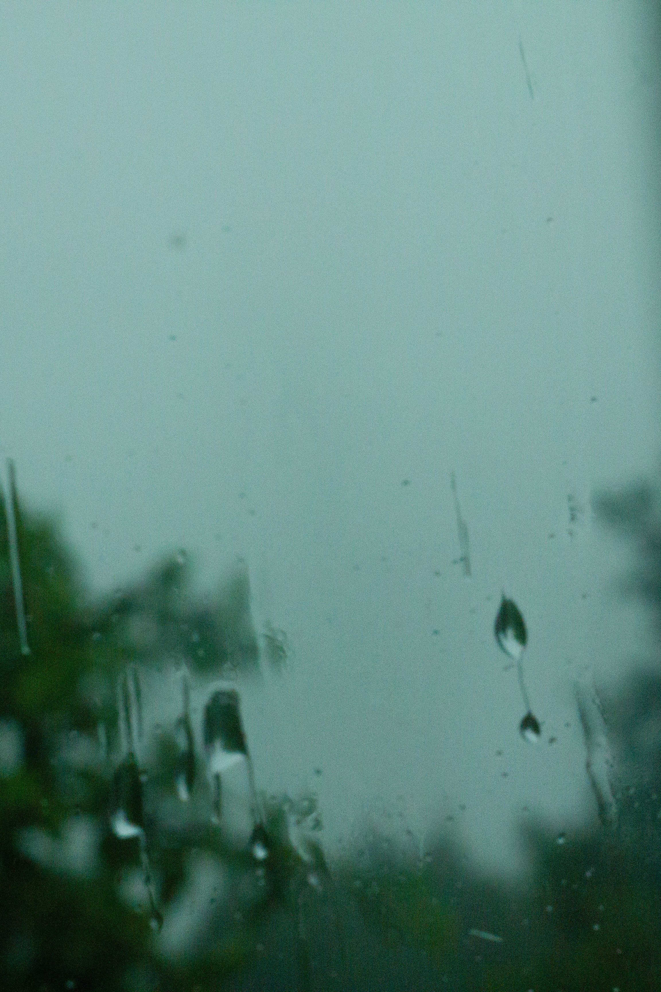 Dacha vibes. Папка кадров 📁