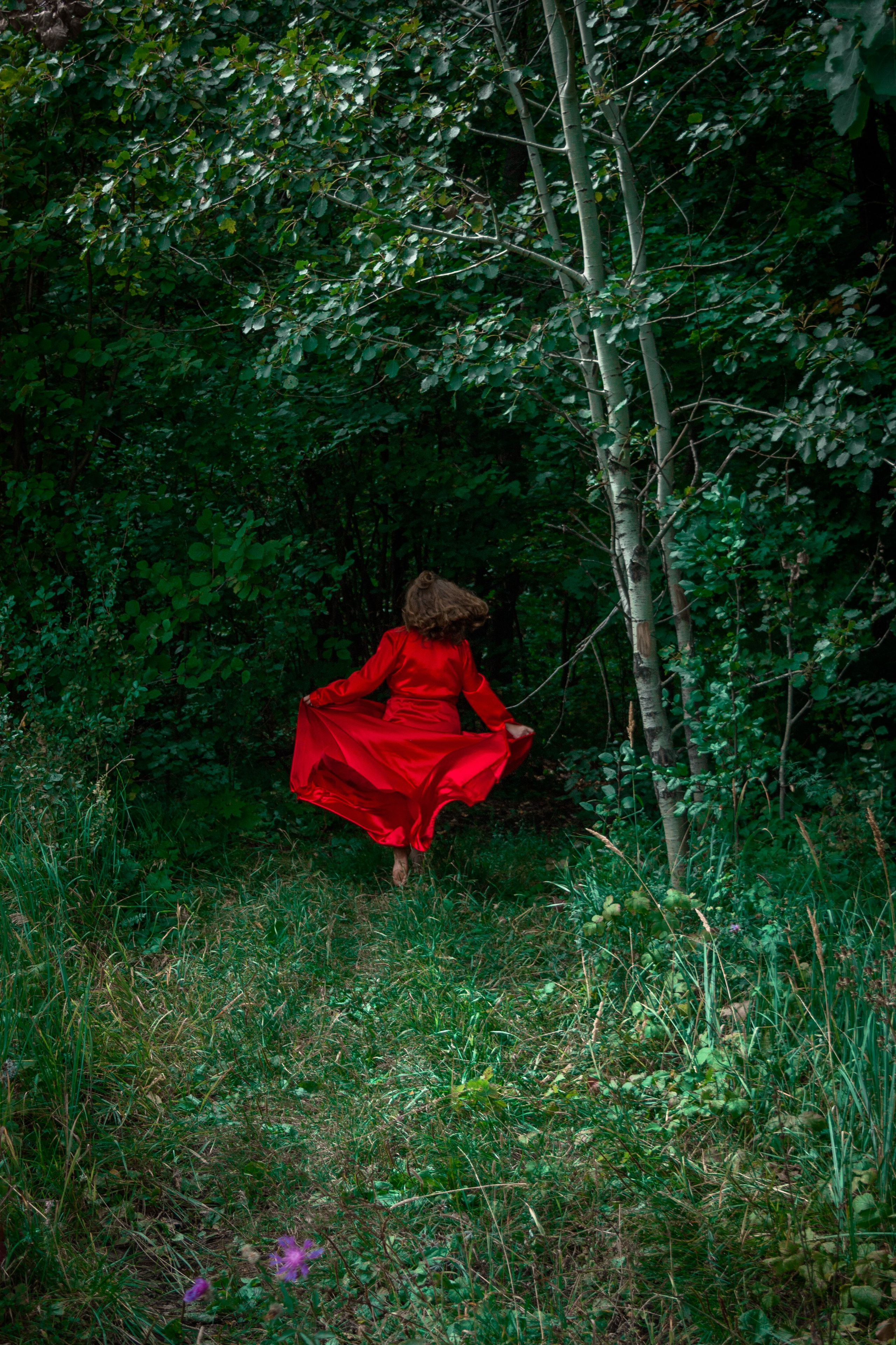 Элла в лесу