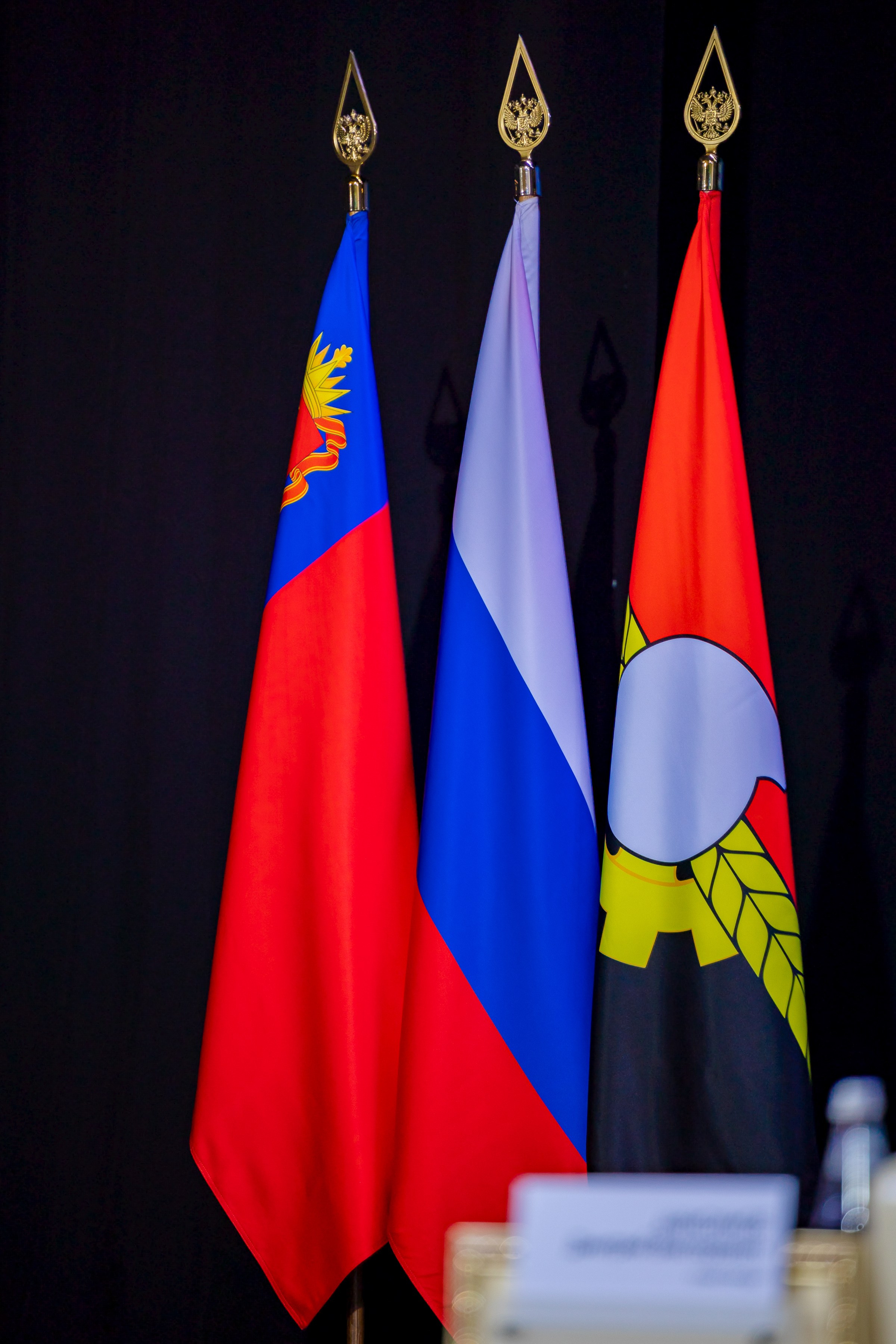 Выступление главы города Кемерово Дмитрия Анисимова. Фотограф Князев Сергей